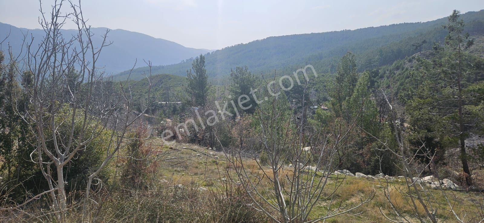 Kas Yuvacık Müstakil Tapu 1137 M2 Yatırım Fırsatı - Görsel 5