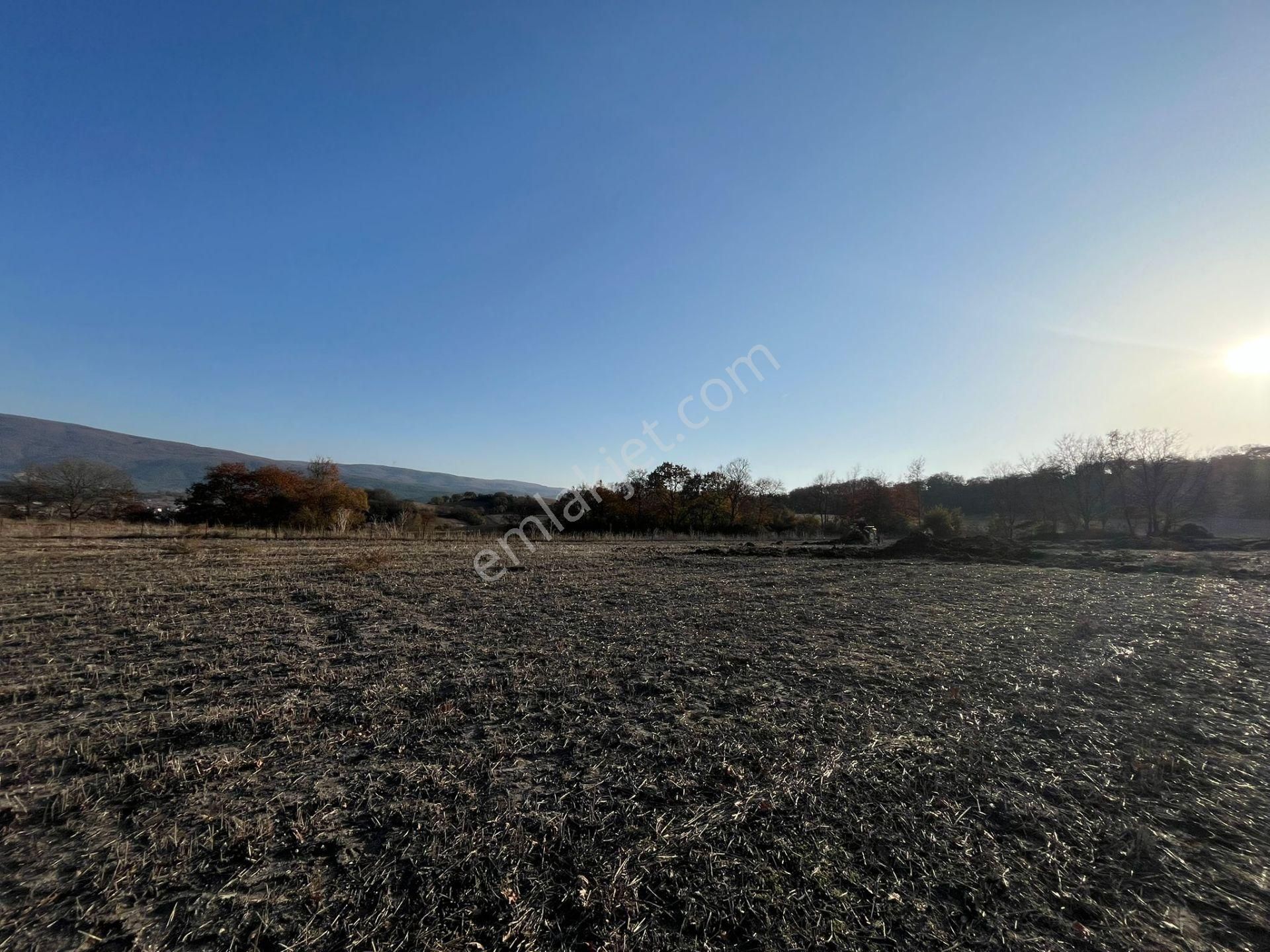 Susurluk Karapürçek Mah. İçeresinde Hazır Çiftlik Ve Bakım Evi - Görsel 17