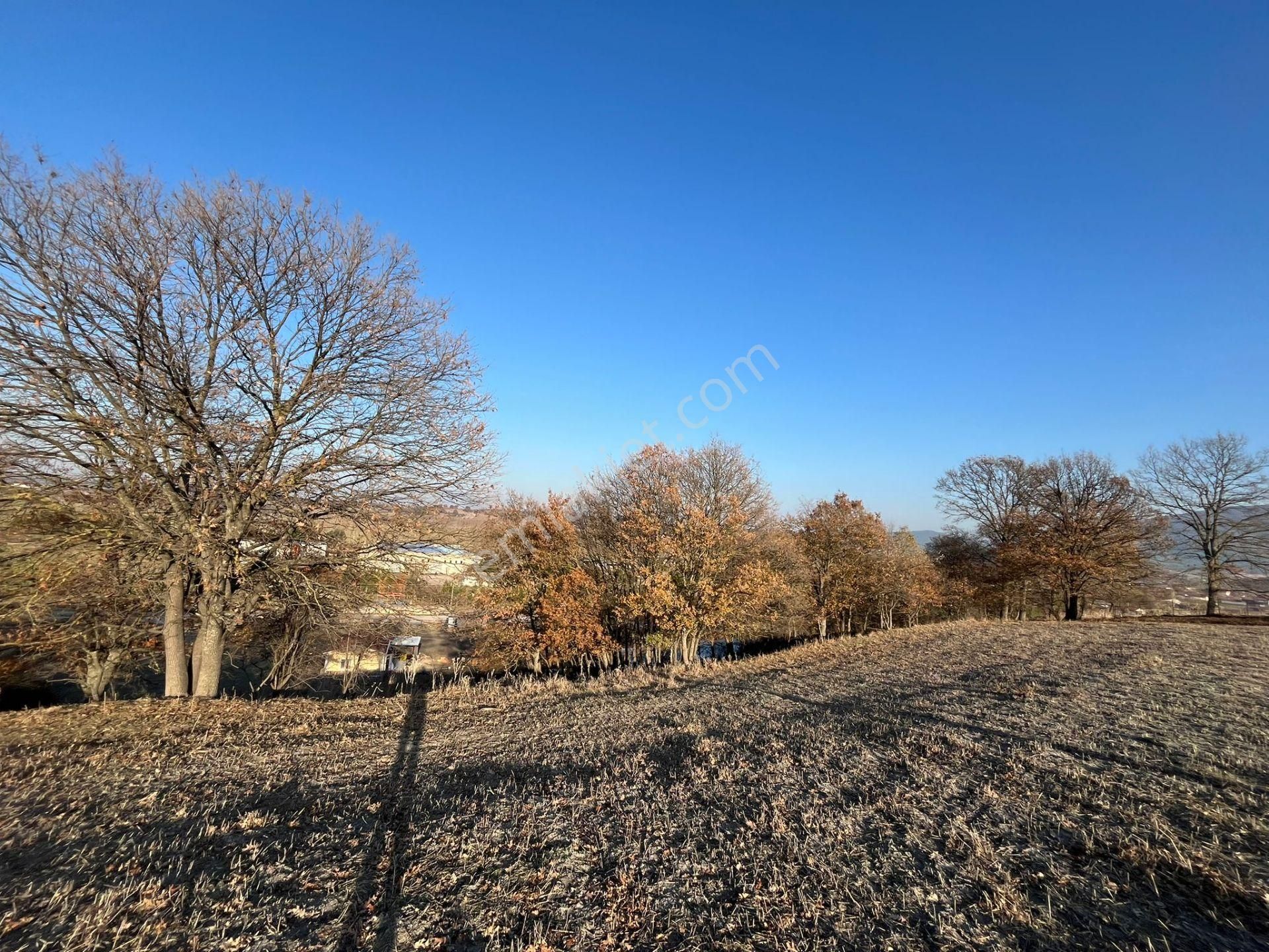 Susurluk Karapürçek Mah. İçeresinde Hazır Çiftlik Ve Bakım Evi - Görsel 18