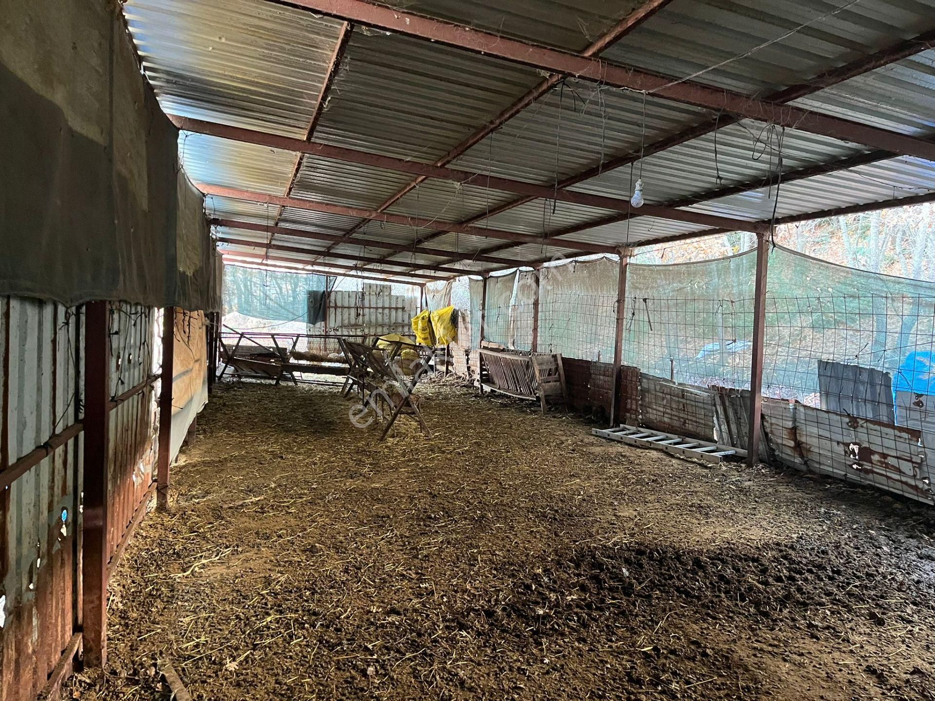 Susurluk Karapürçek Mah. İçeresinde Hazır Çiftlik Ve Bakım Evi - Görsel 8