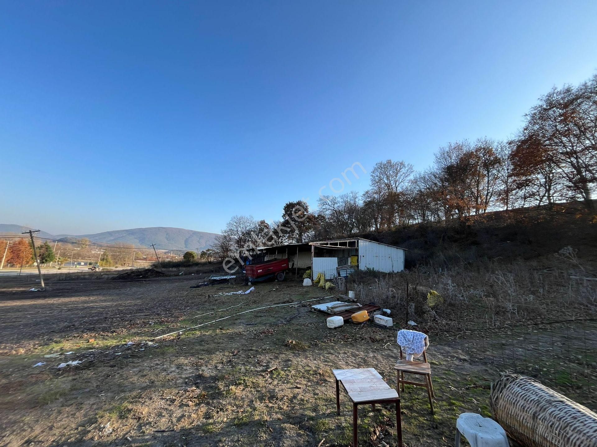 Susurluk Karapürçek Mah. İçeresinde Hazır Çiftlik Ve Bakım Evi - Görsel 5