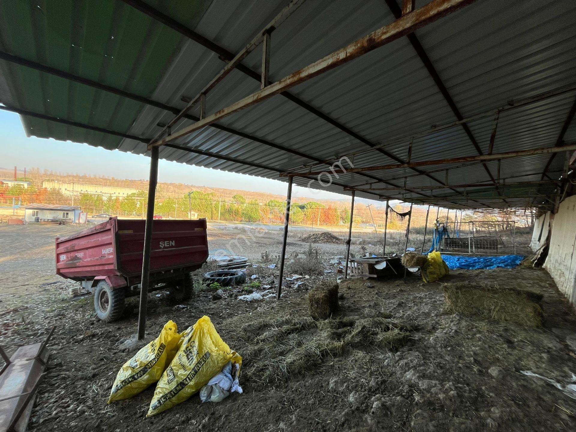 Susurluk Karapürçek Mah. İçeresinde Hazır Çiftlik Ve Bakım Evi - Görsel 9