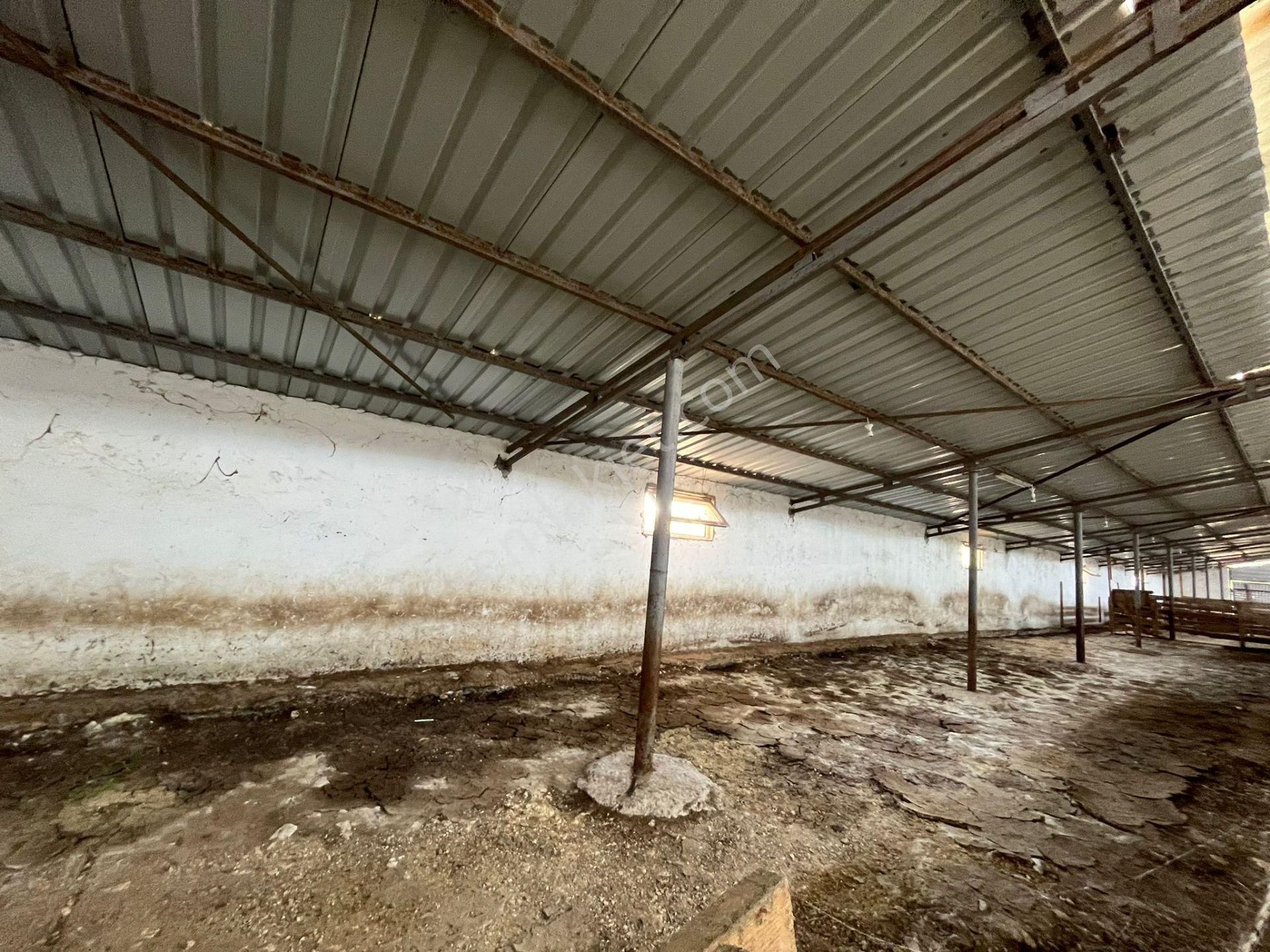 Gönen Koçbayır Mah. 70 Dönüm Satılık Büyük Baş Çiftliği - Görsel 11