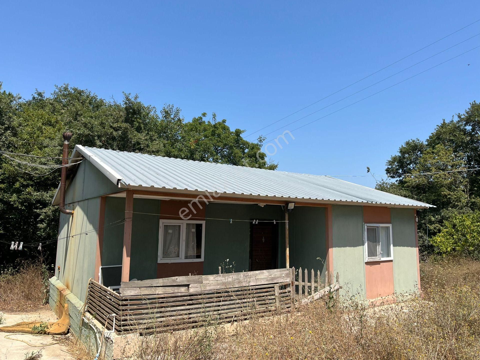 Gönen Koçbayır Mah. 70 Dönüm Satılık Büyük Baş Çiftliği - Görsel 3