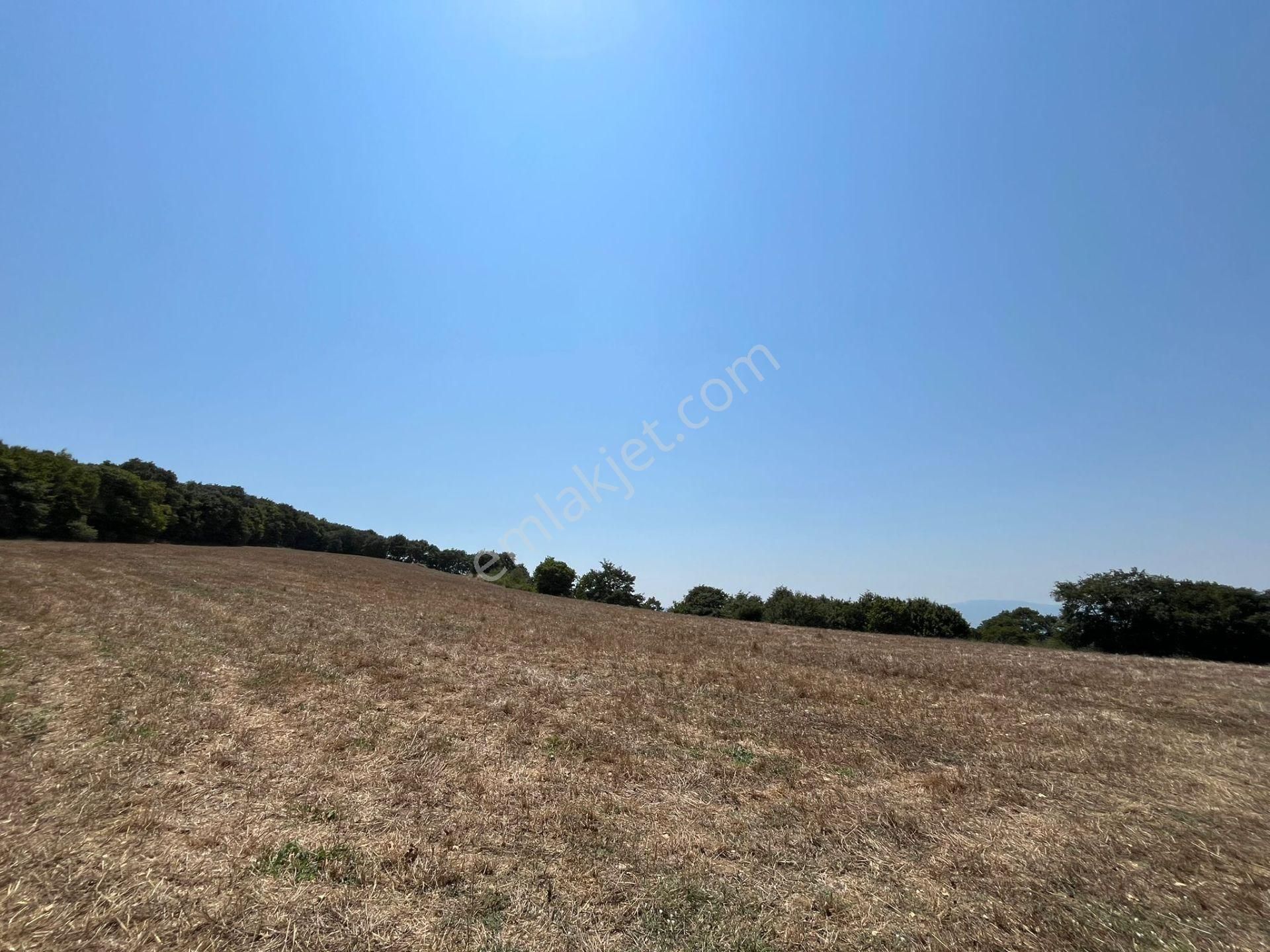 Gönen Koçbayır Mah. 70 Dönüm Satılık Büyük Baş Çiftliği - Görsel 7