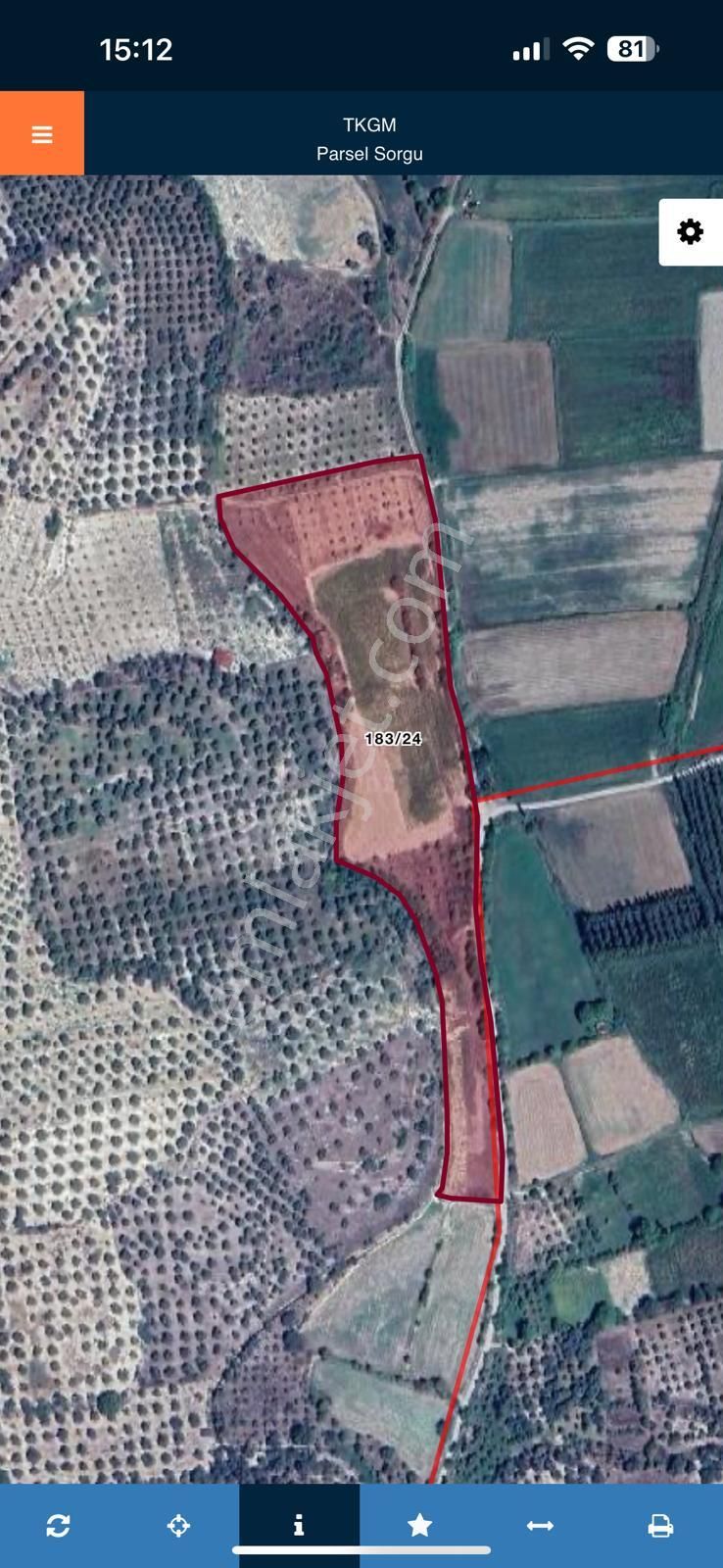 Aydın Bozdoğan Pınarlı Mahallesinde Satılık Tarla İncir Bahçesi - Görsel 8