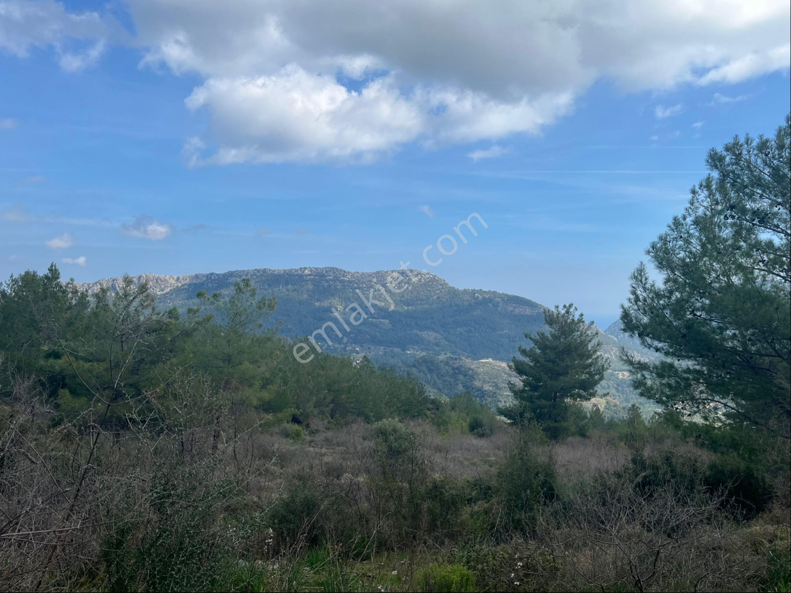 Olimpos /yazır’da Yatırımlık Arazi - Görsel 13