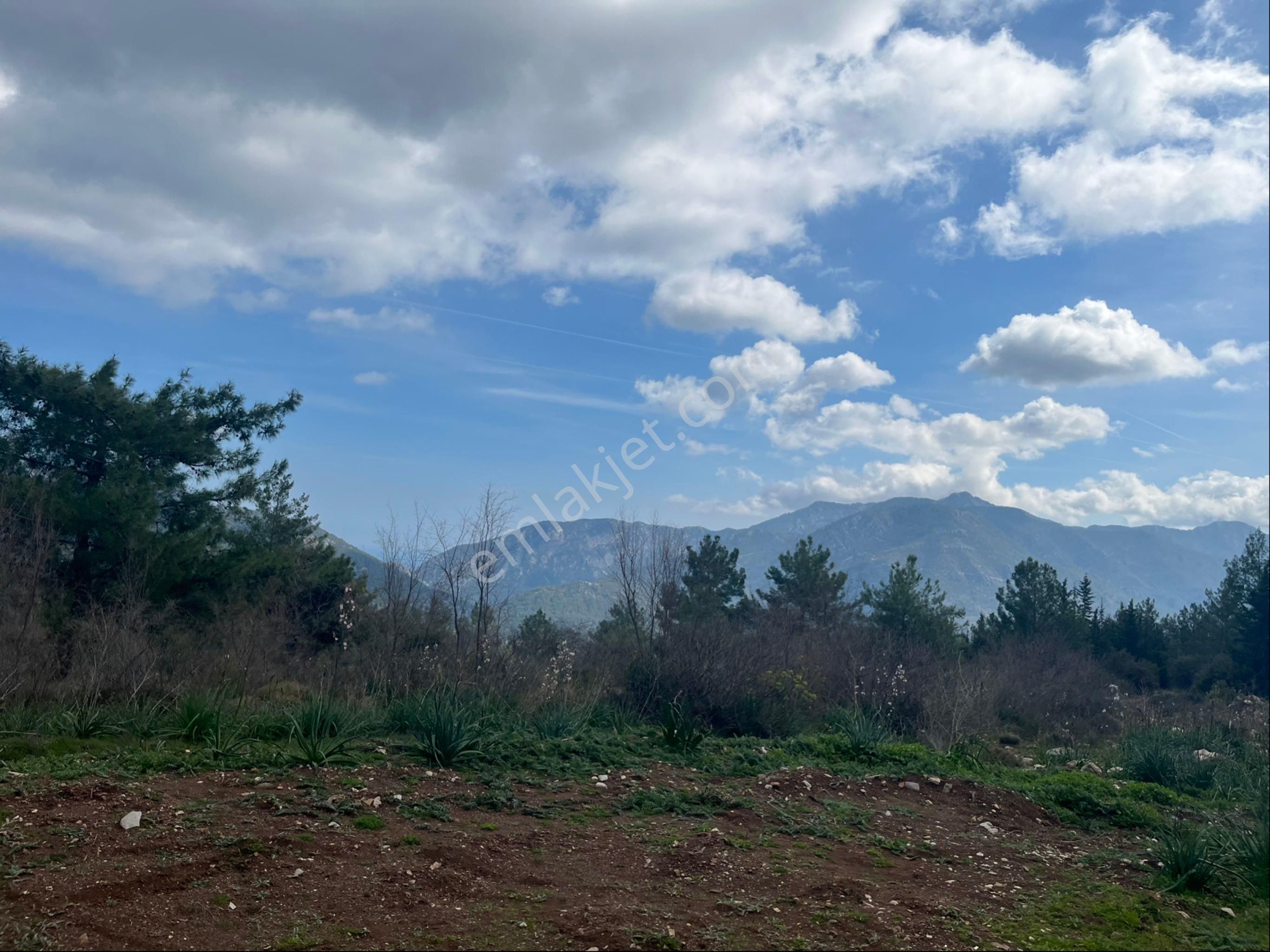 Olimpos /yazır’da Yatırımlık Arazi - Görsel 20