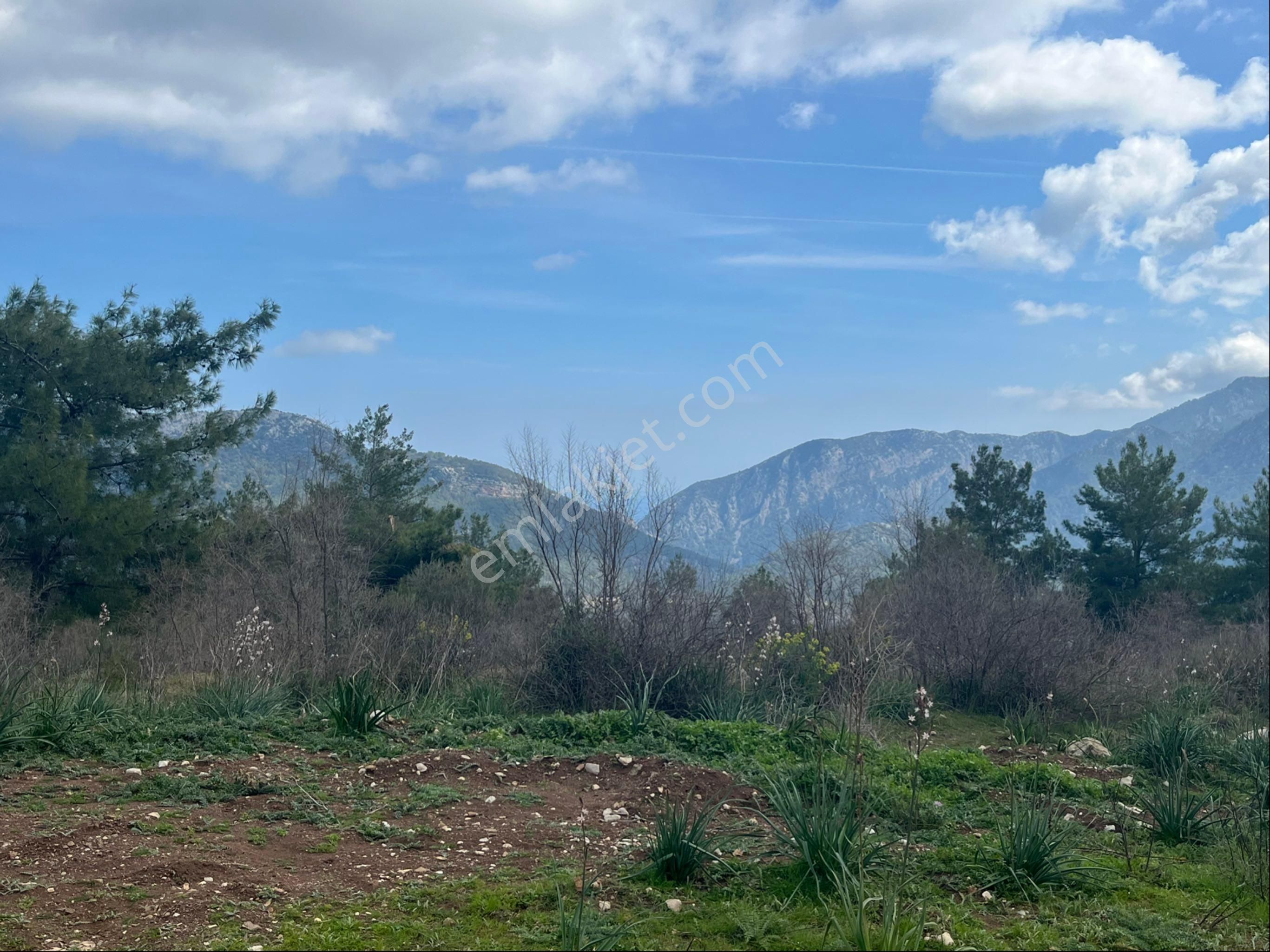 Olimpos /yazır’da Yatırımlık Arazi - Görsel 19
