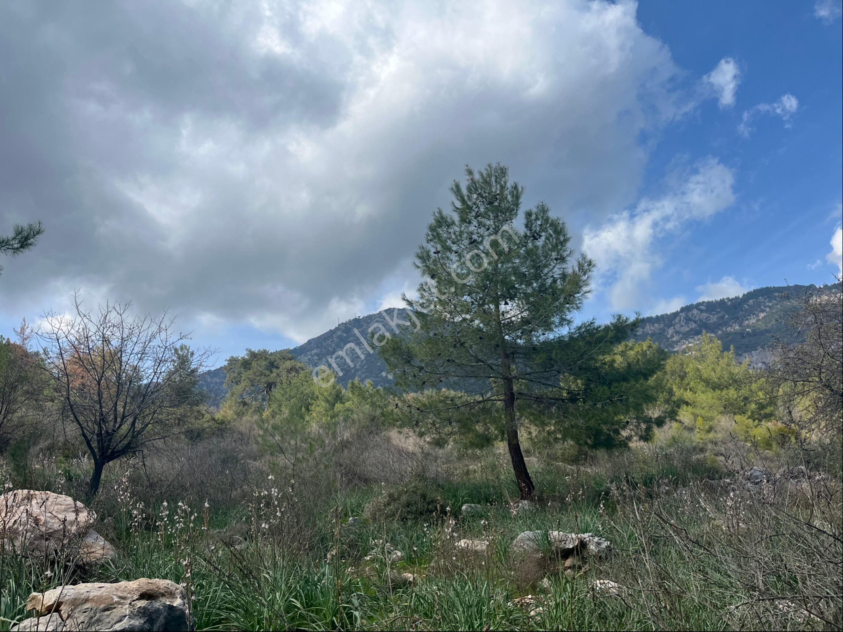 Olimpos /yazır’da Yatırımlık Arazi - Görsel 9