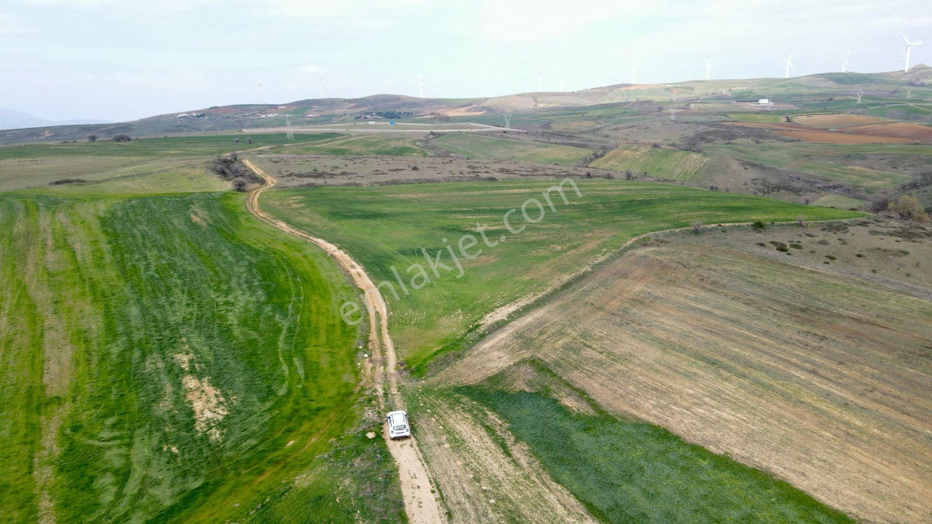 Bandırma Erikli Satılık Tarla Bandırma Erikli Mahallesinde 10.000 M² Satılık Arazi