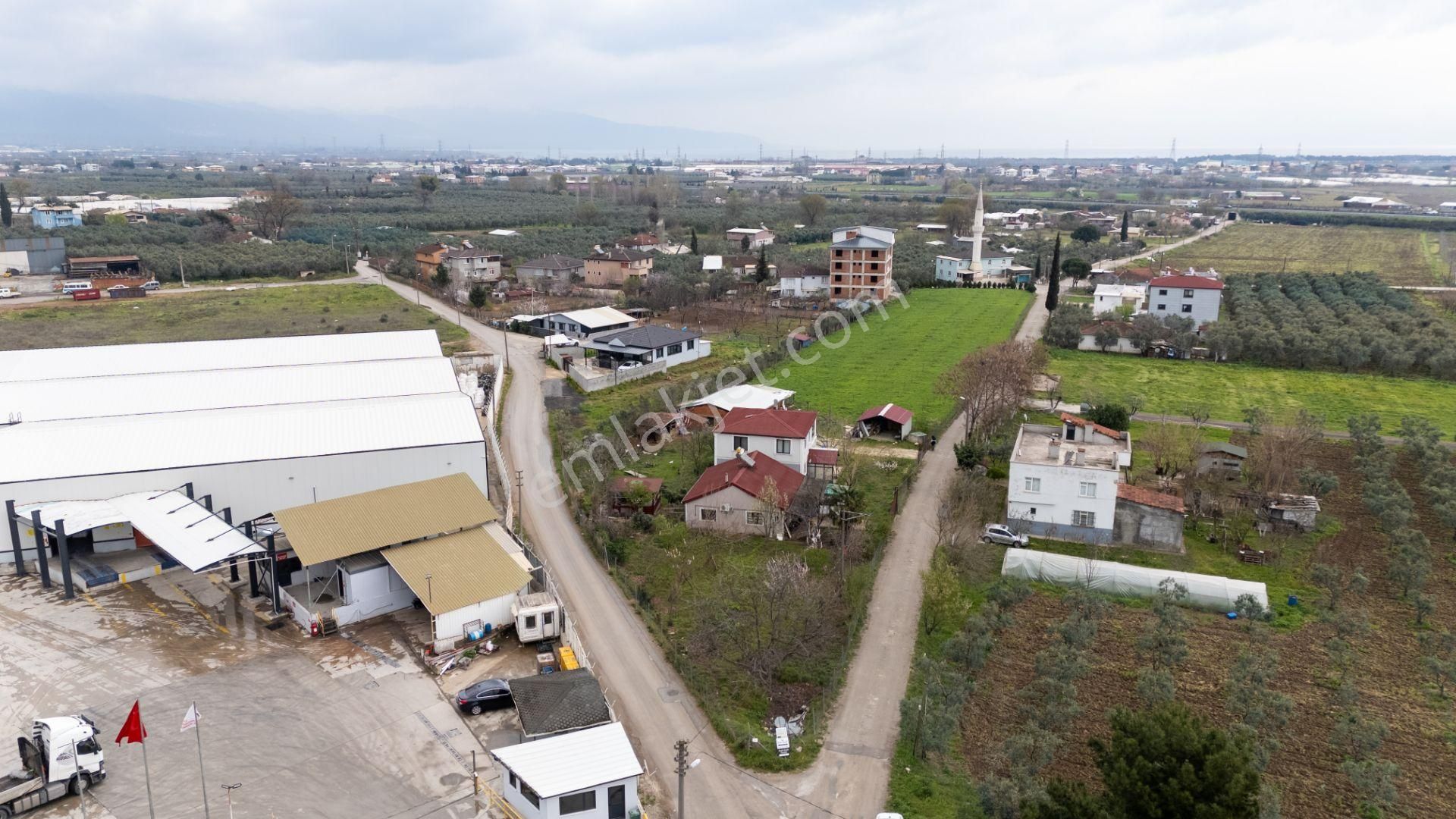 Turyap'dan "2 Adet Ev"elektrik Su Doğalgaz Ve Yolu Olan Arazi - Görsel 15