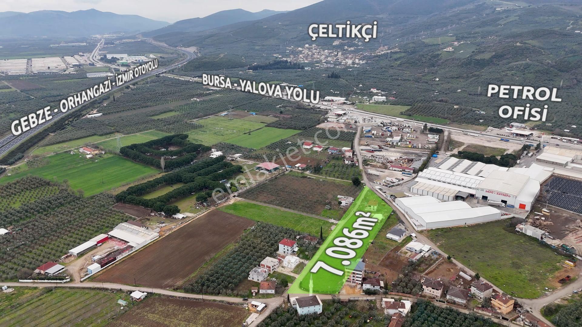 Turyap'dan "2 Adet Ev"elektrik Su Doğalgaz Ve Yolu Olan Arazi - Görsel 8