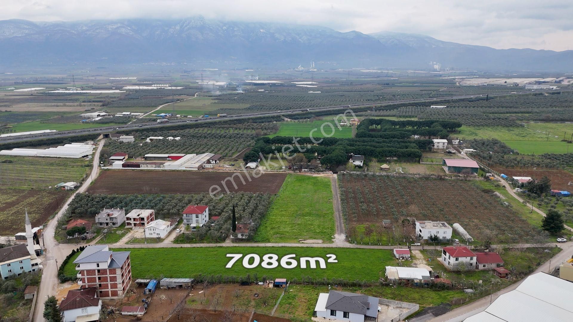 Turyap'dan "2 Adet Ev"elektrik Su Doğalgaz Ve Yolu Olan Arazi - Görsel 10