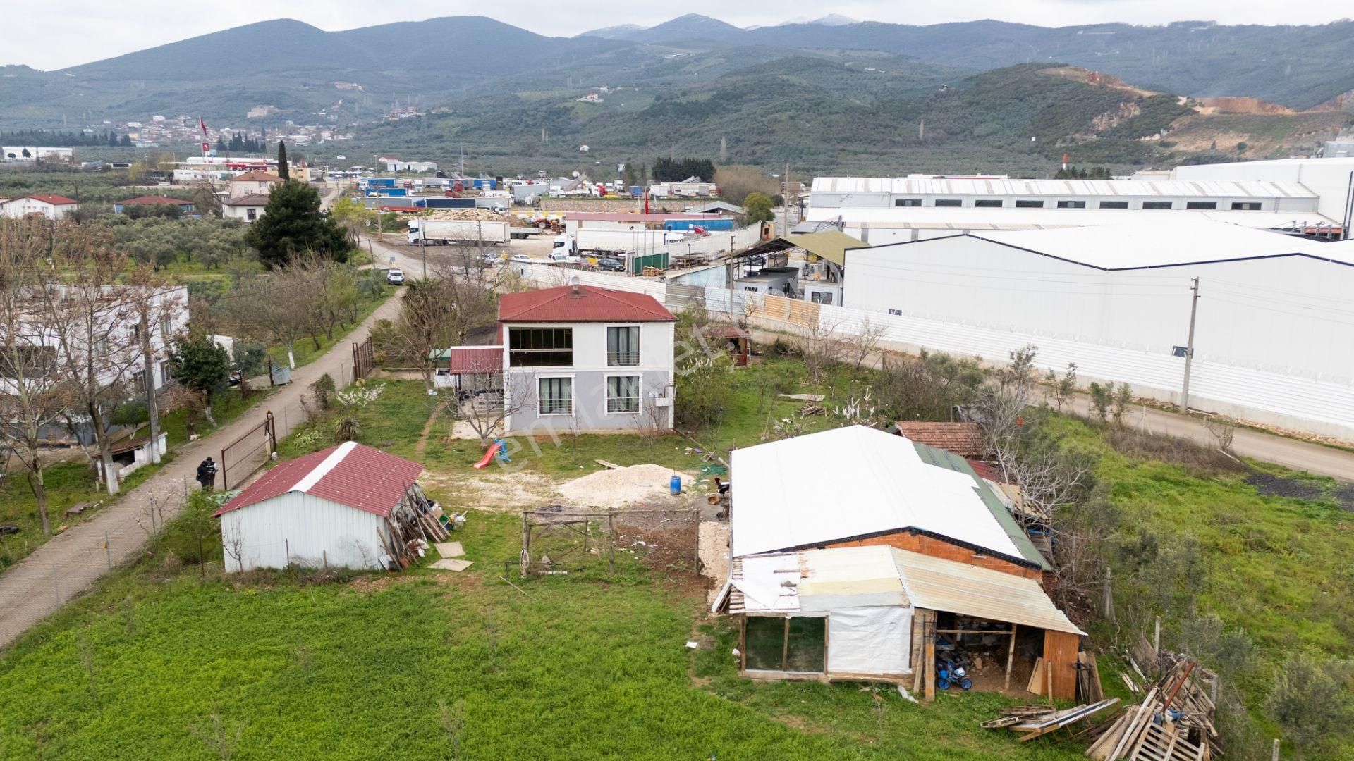 Turyap'dan "2 Adet Ev"elektrik Su Doğalgaz Ve Yolu Olan Arazi - Görsel 24