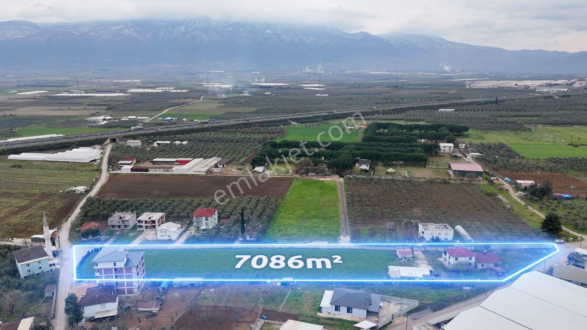 Turyap'dan "2 Adet Ev"elektrik Su Doğalgaz Ve Yolu Olan Arazi - Görsel 11