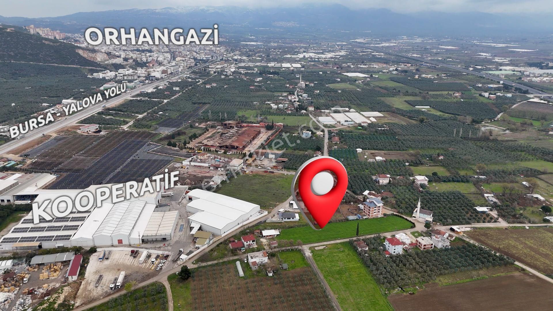 Turyap'dan "2 Adet Ev"elektrik Su Doğalgaz Ve Yolu Olan Arazi - Görsel 6