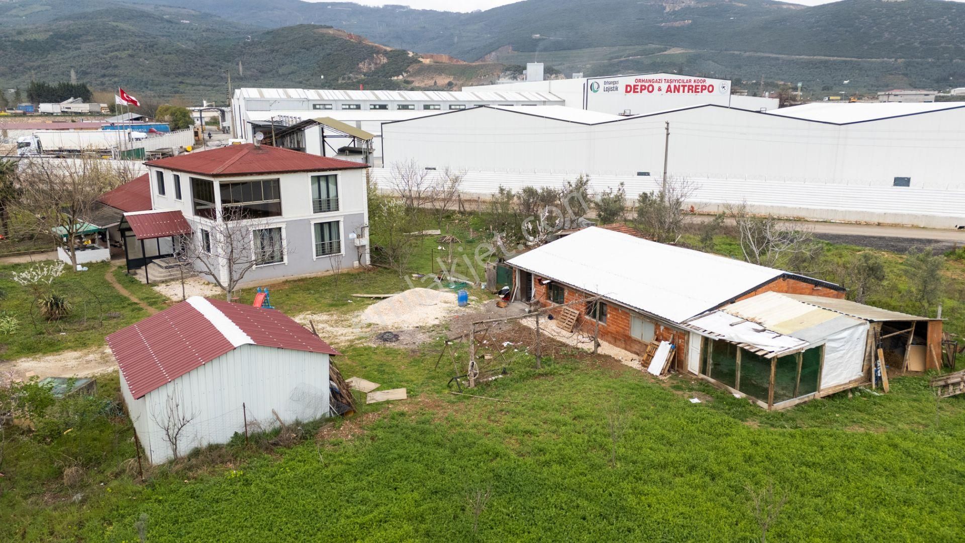 Turyap'dan "2 Adet Ev"elektrik Su Doğalgaz Ve Yolu Olan Arazi - Görsel 29