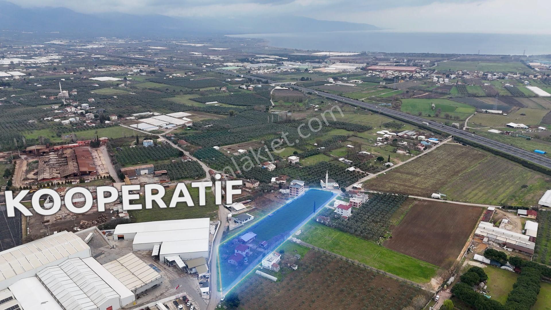 Turyap'dan "2 Adet Ev"elektrik Su Doğalgaz Ve Yolu Olan Arazi - Görsel 13