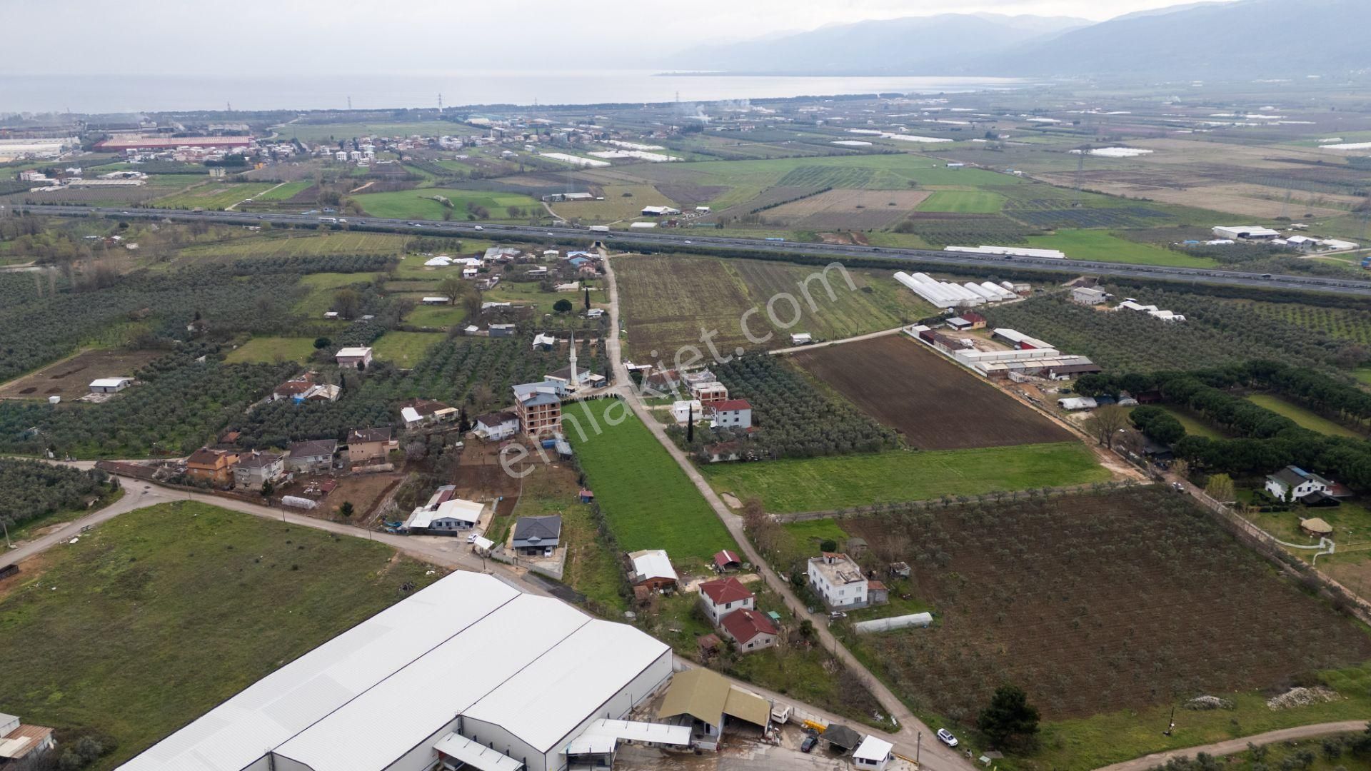Turyap'dan "2 Adet Ev"elektrik Su Doğalgaz Ve Yolu Olan Arazi - Görsel 26