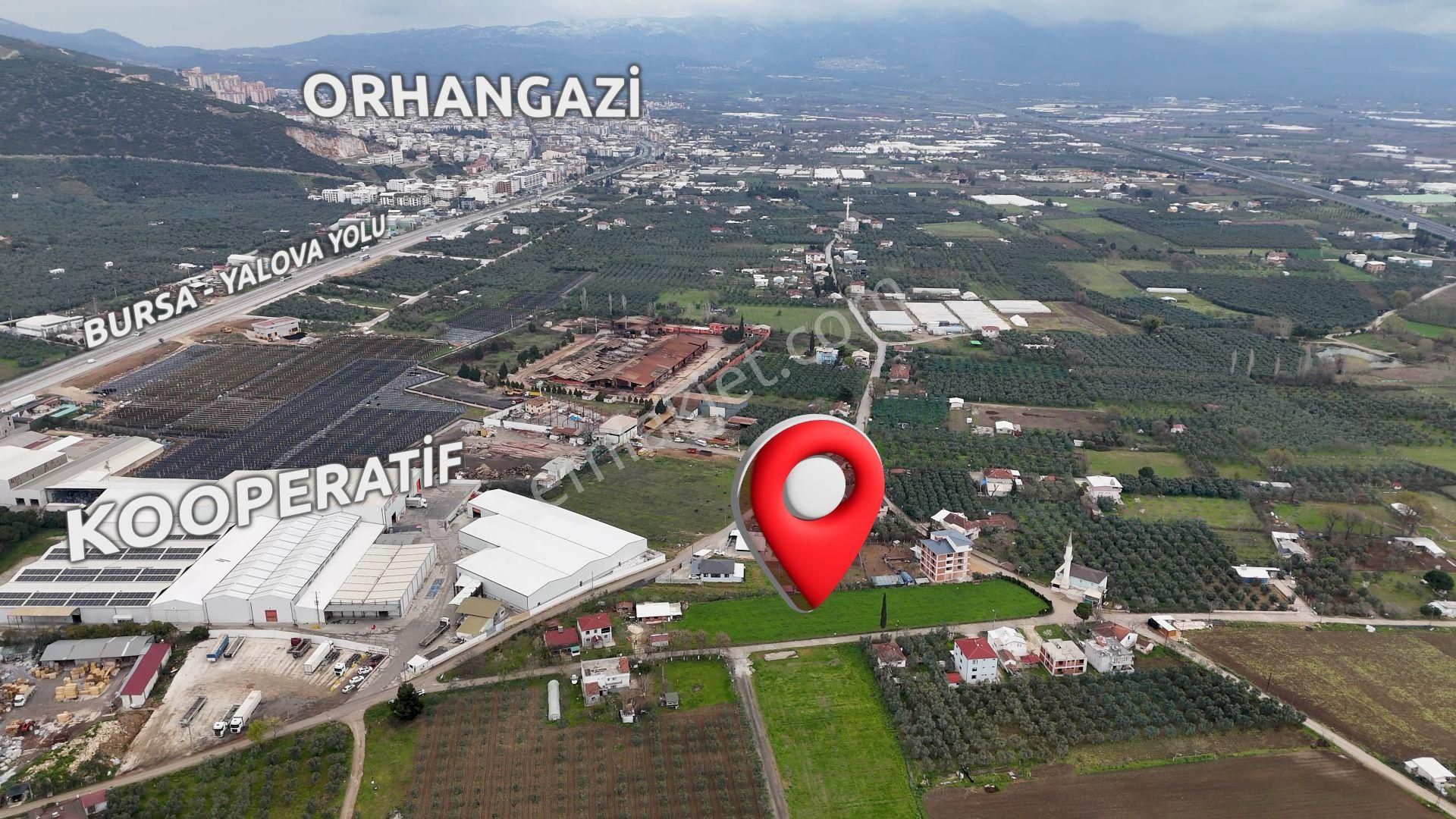 Turyap'dan "2 Adet Ev"elektrik Su Doğalgaz Ve Yolu Olan Arazi - Görsel 7