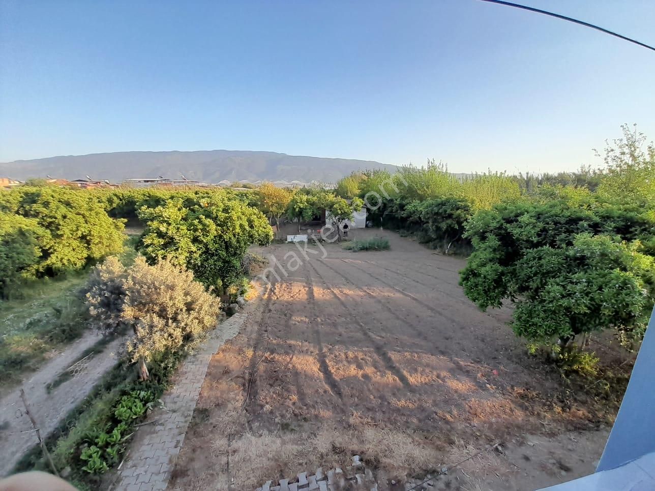 Hamzallı'da Satılık Büyük Arsa İçerisinde Masrafsız Müstakil Ev - Görsel 13