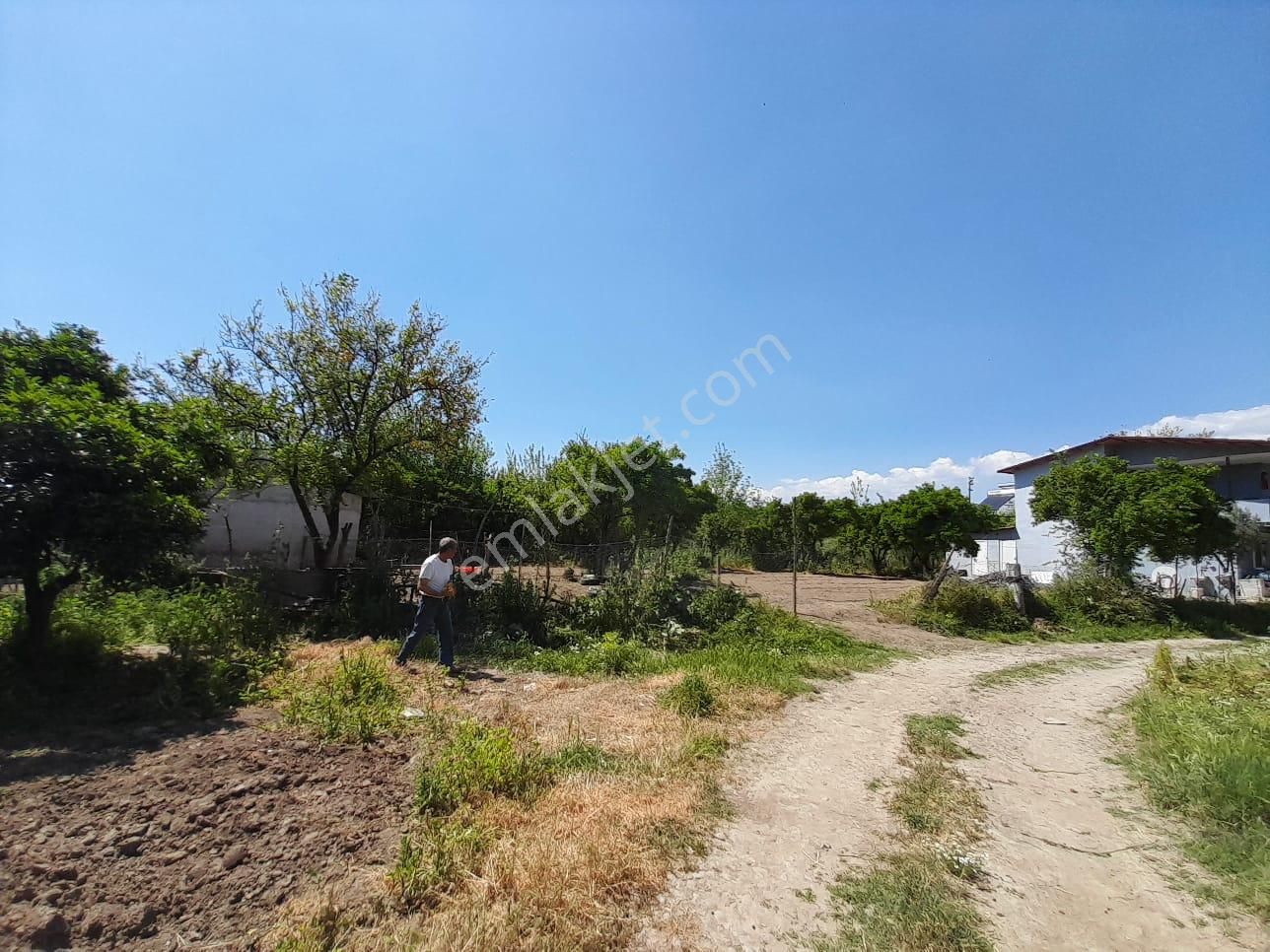 Hamzallı'da Satılık Büyük Arsa İçerisinde Masrafsız Müstakil Ev - Görsel 2
