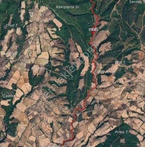 Palamutoba Mah 7400m2 Tek Tapu Yatırıma Uygun Satılık Tarla