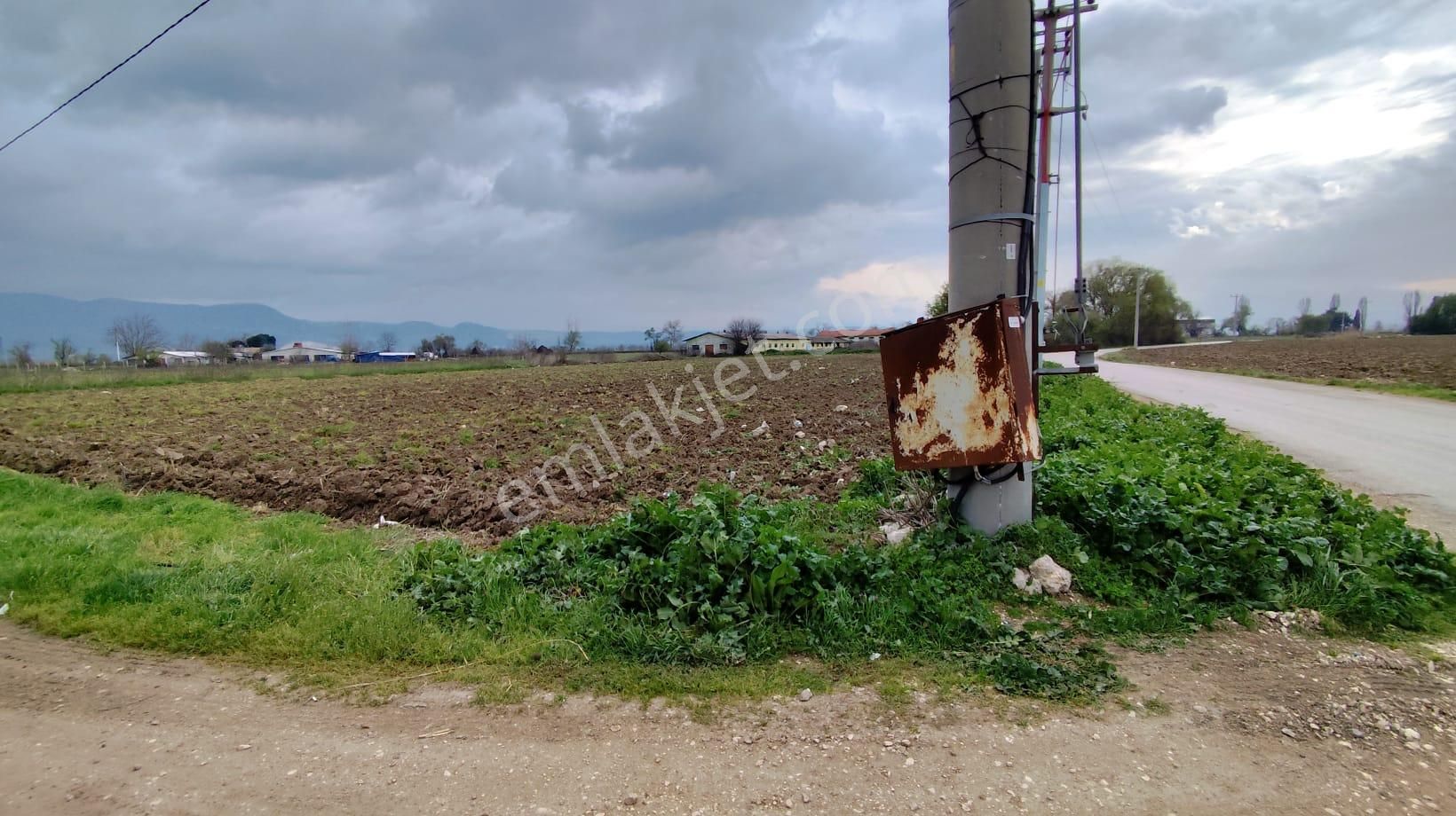 Mustafakemalpaşa Fevzidede Satılık Tarla İnceoğlundan Orta Mahalle'de 5221m2 Anayola Cephe Satılık Arazi