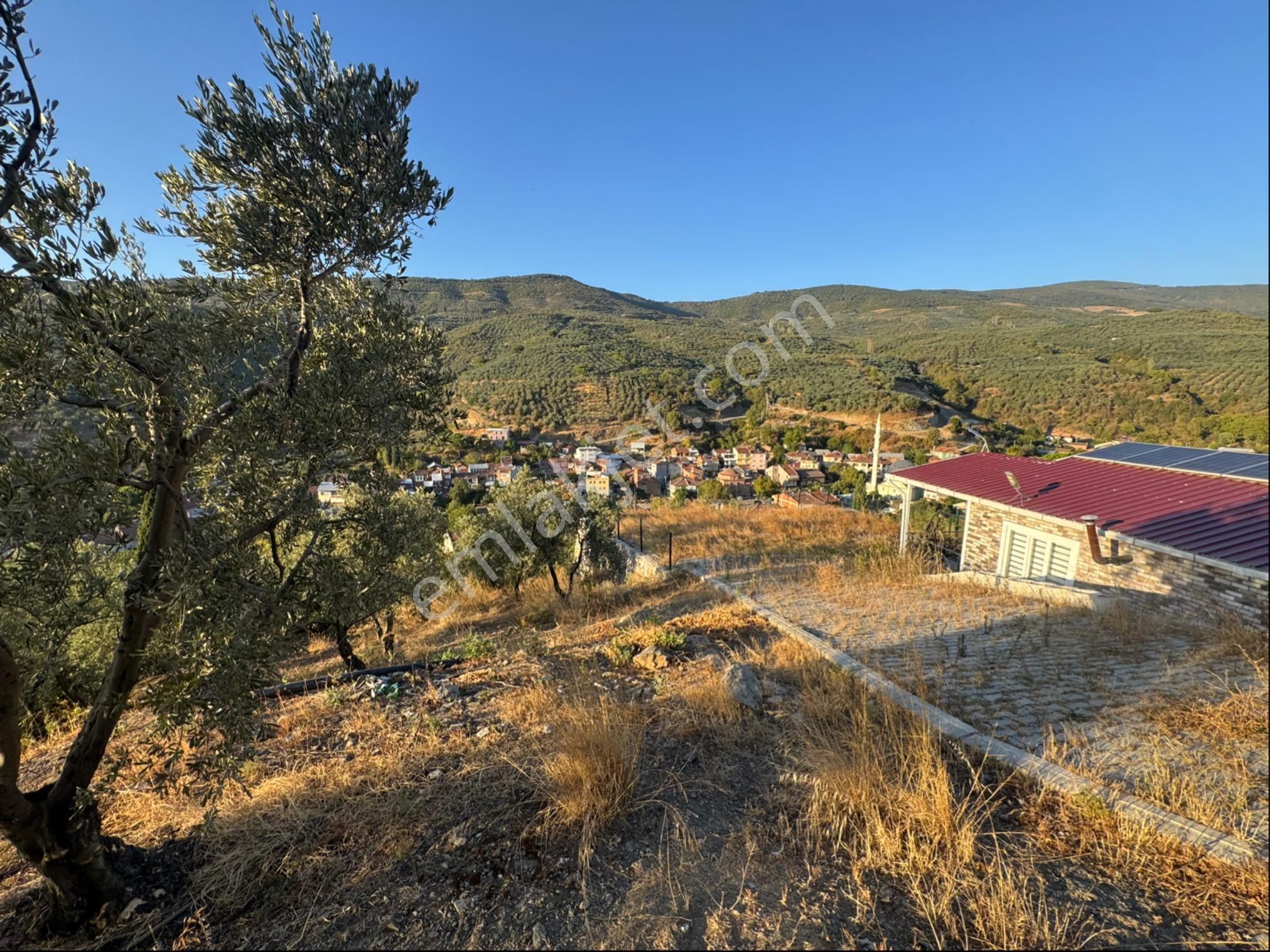 Kumla Konak Emlak;tan Satılık Zeytinlik - Görsel 5