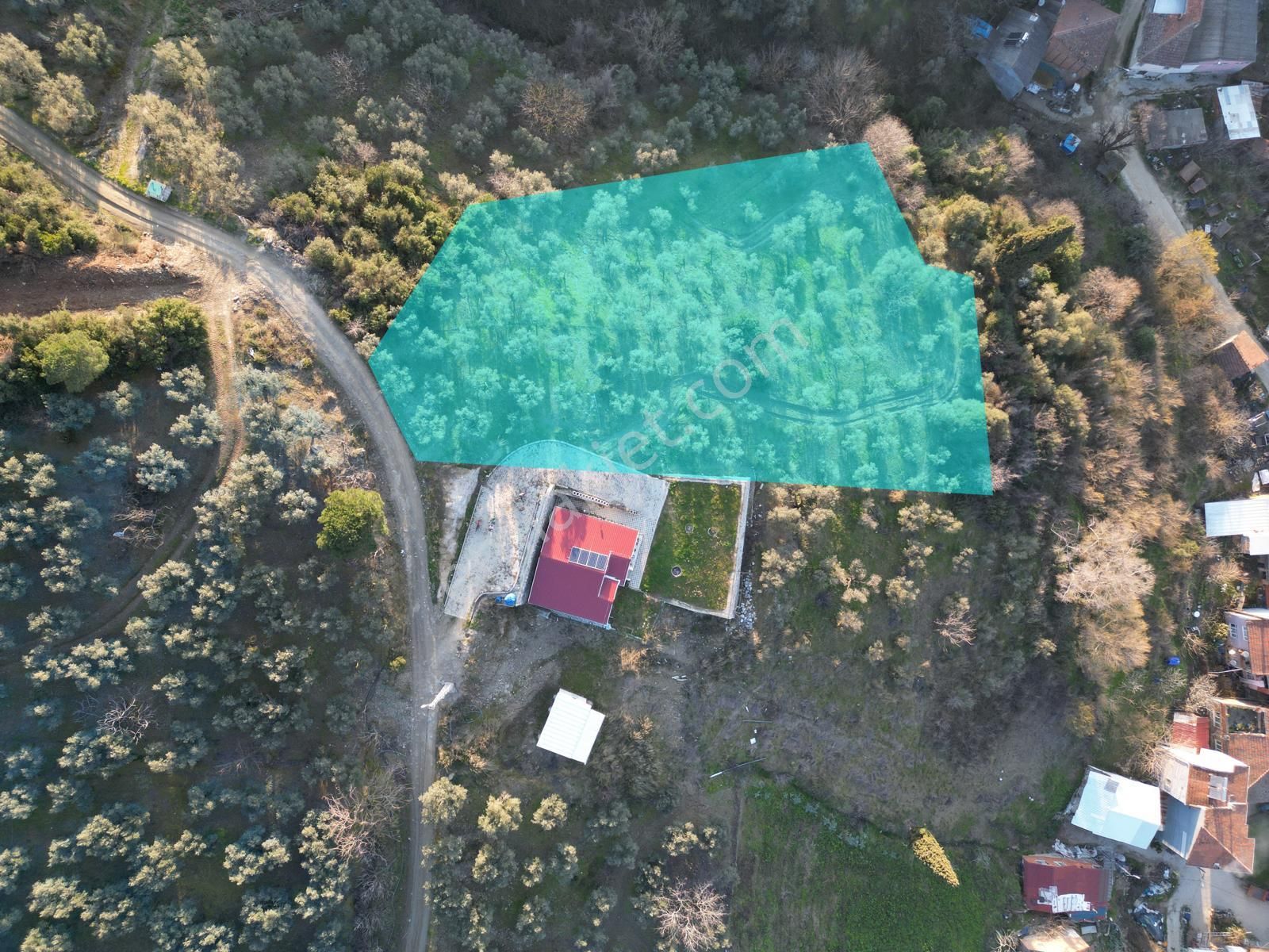 Kumla Konak Emlak;tan Satılık Zeytinlik - Görsel 10