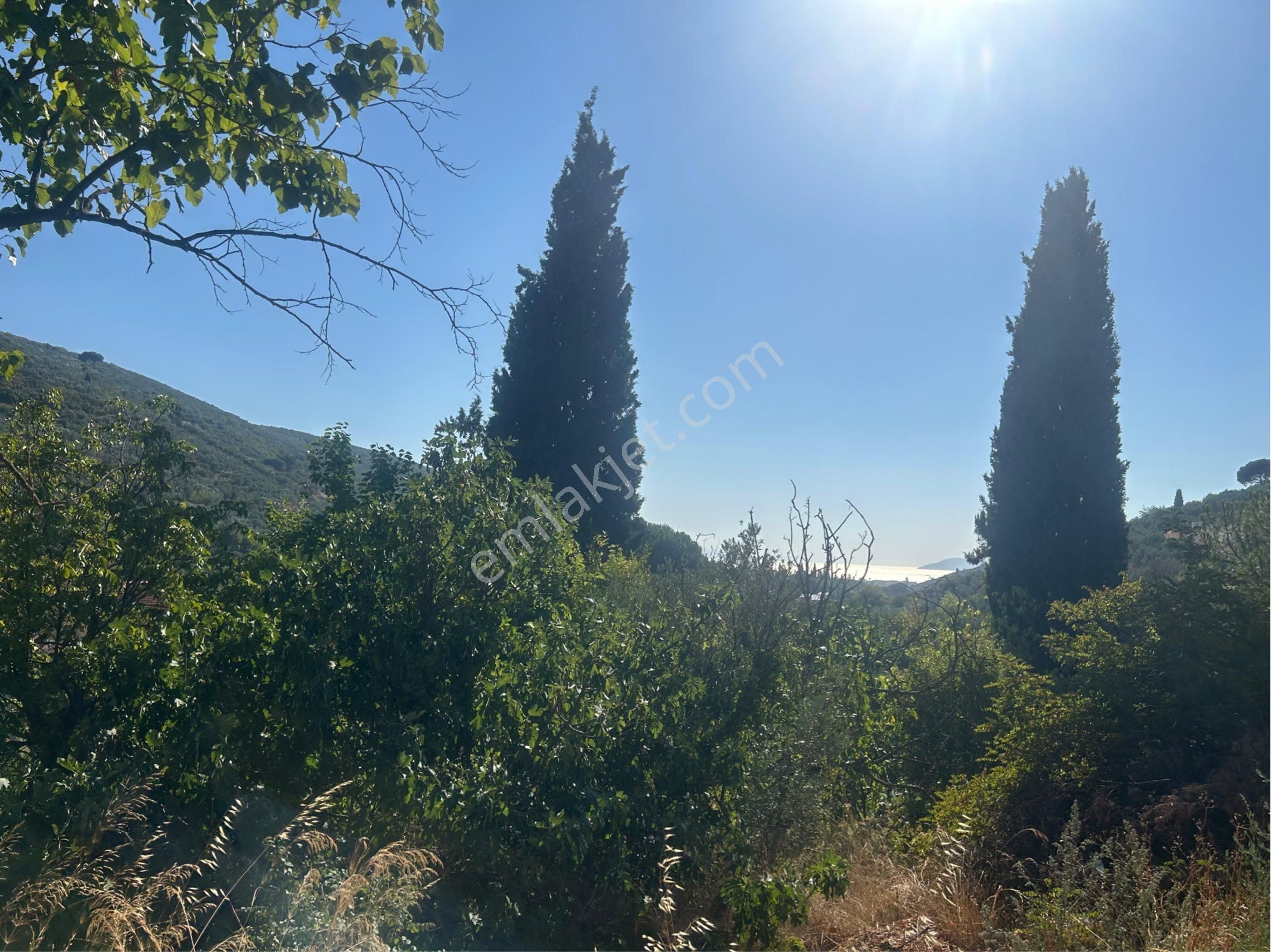 Kumla Konak Emlak;tan Satılık 3 Kat İmarlı Arsa - Görsel 9