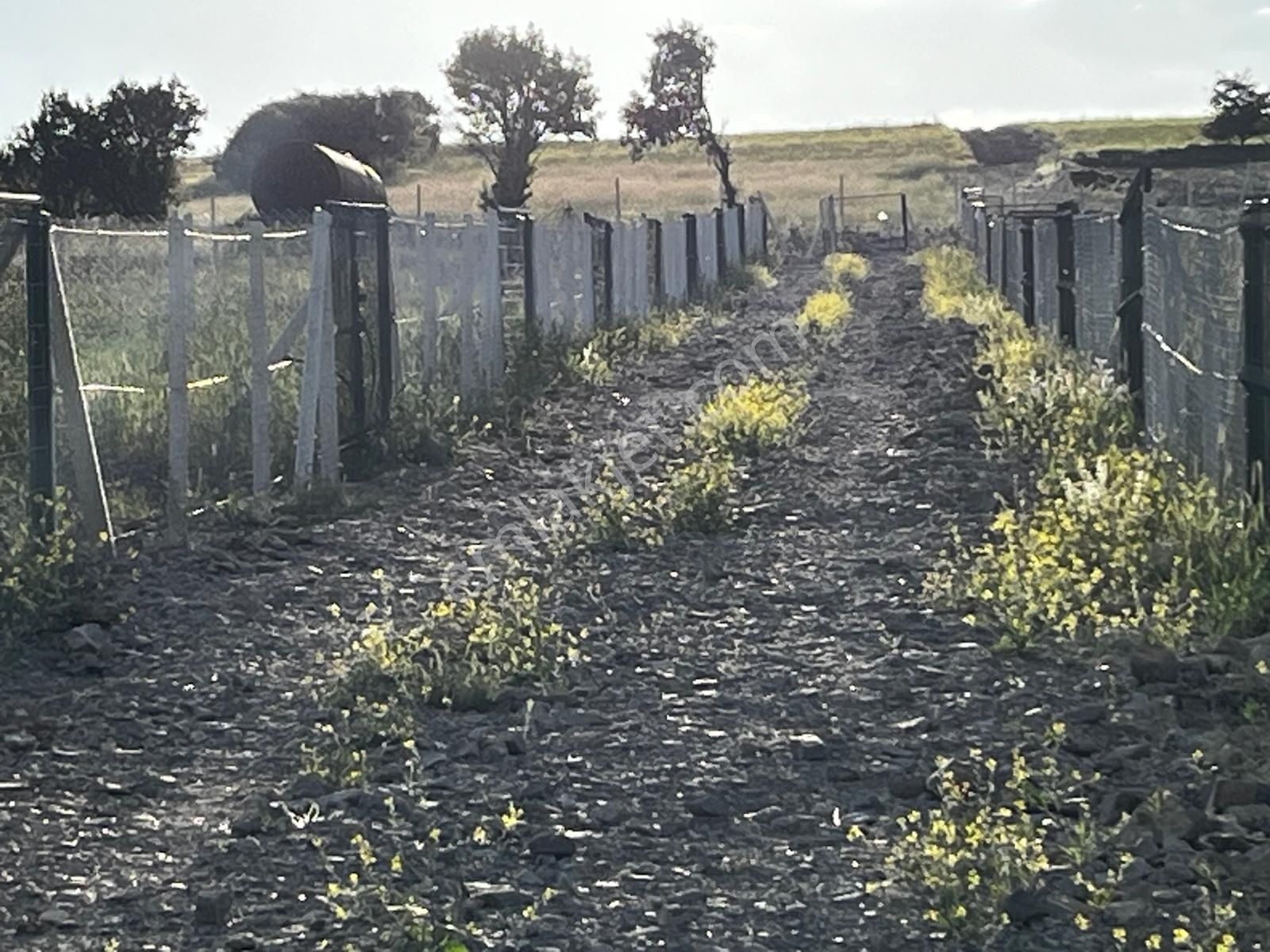 Ayaş Satılık Arsa Acil - Görsel 9