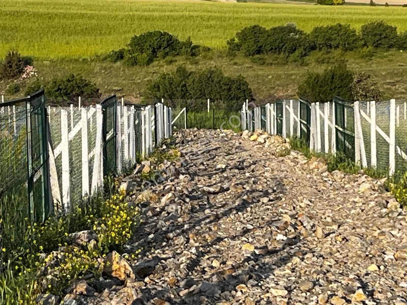 Ayaş Satılık Arsa Acil - Görsel 13