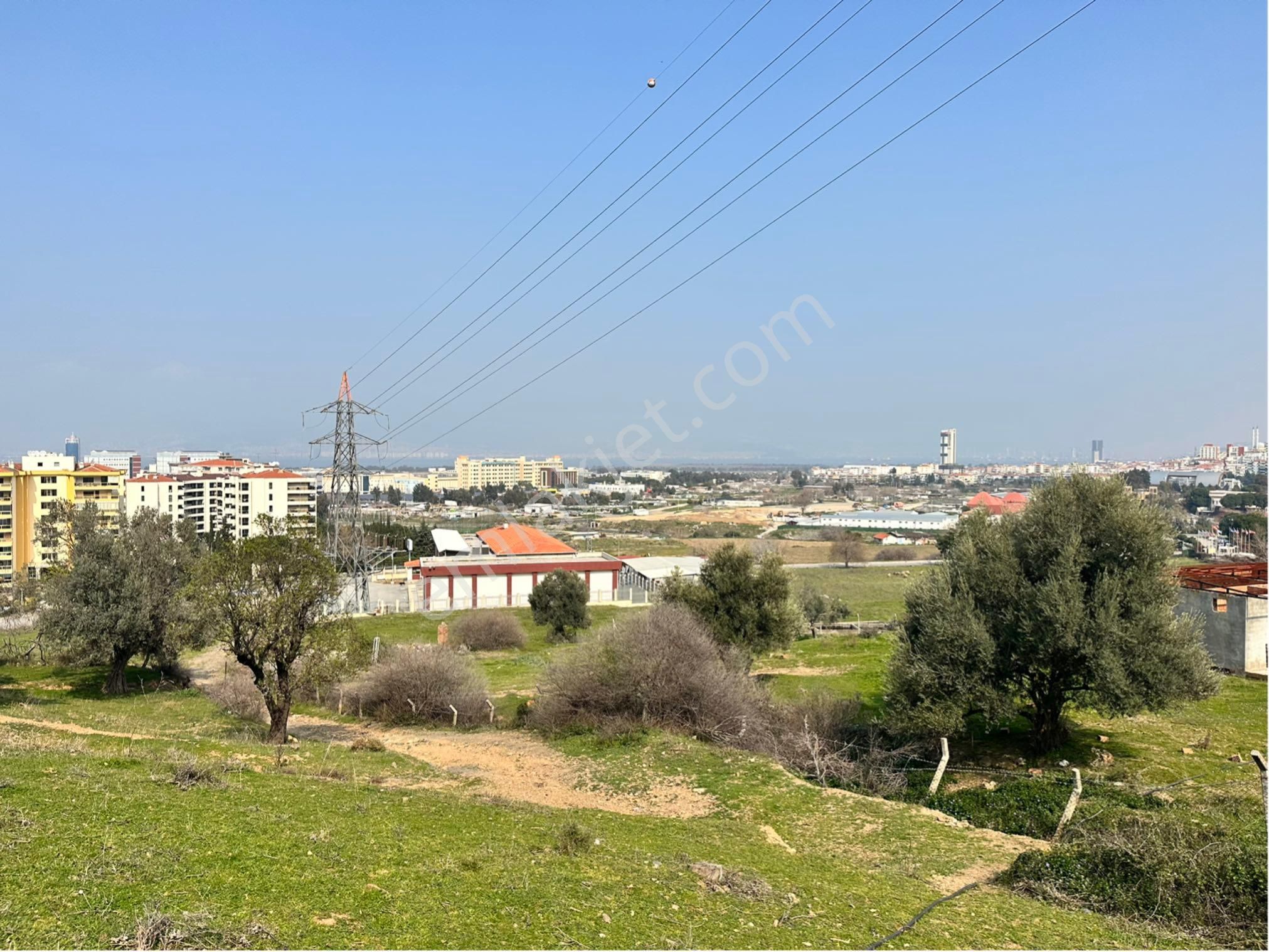 Kaya Termal Otel Yanı, Deniz Man. 4.507 M2 Yatırımlık Zeytinlik - Görsel 17