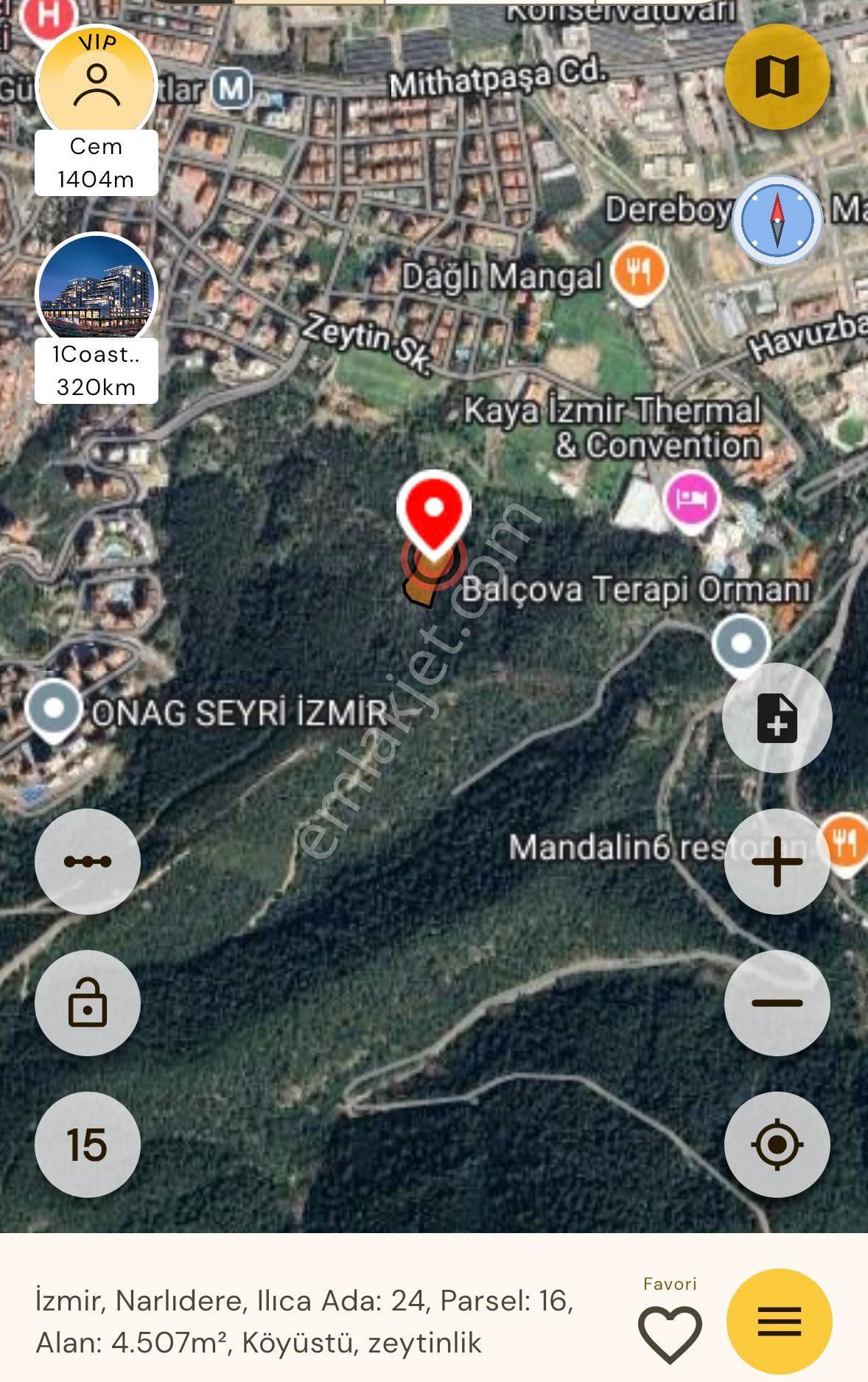 Kaya Termal Otel Yanı, Deniz Man. 4.507 M2 Yatırımlık Zeytinlik - Görsel 2