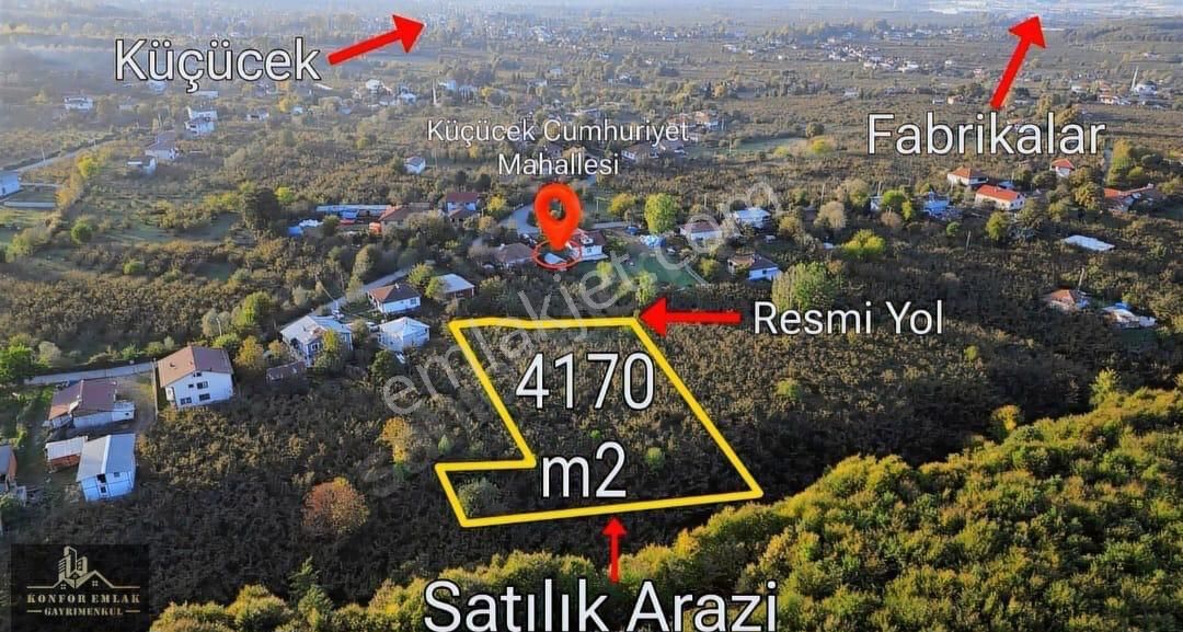 Mys İnşaat Emlaktan Satılık Verimli Fındık Bahçesi - Görsel 9