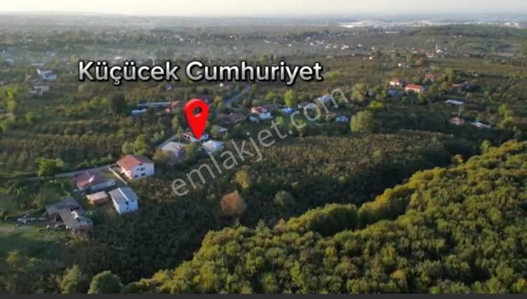 Mys İnşaat Emlaktan Satılık Verimli Fındık Bahçesi - Görsel 15
