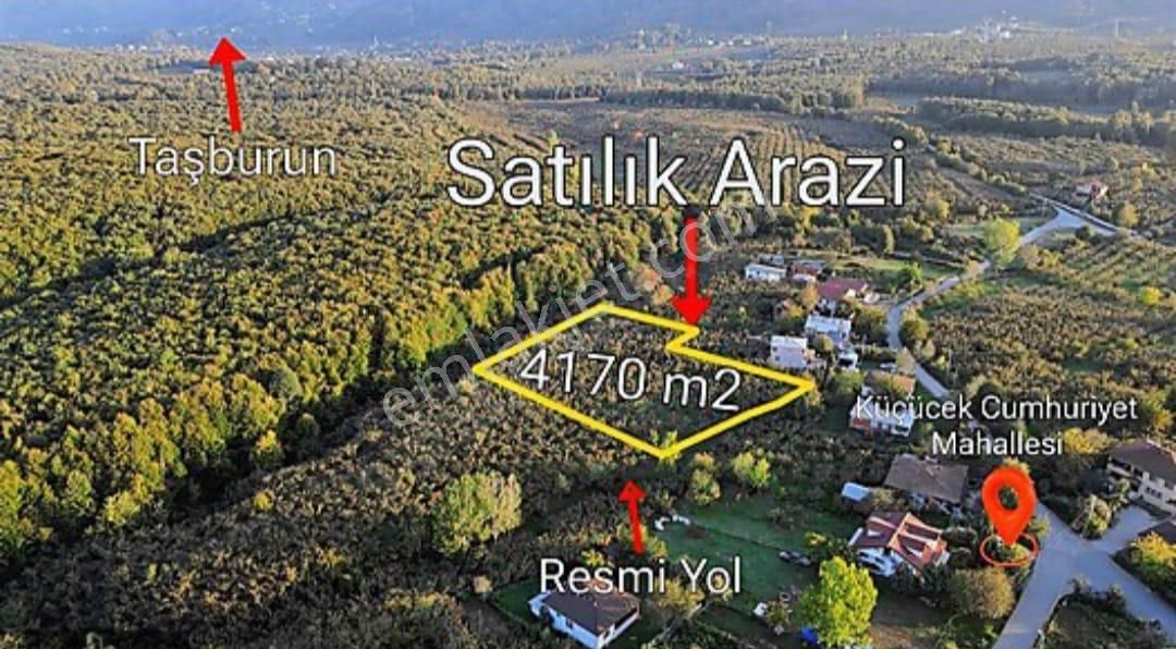 Mys İnşaat Emlaktan Satılık Verimli Fındık Bahçesi - Görsel 13