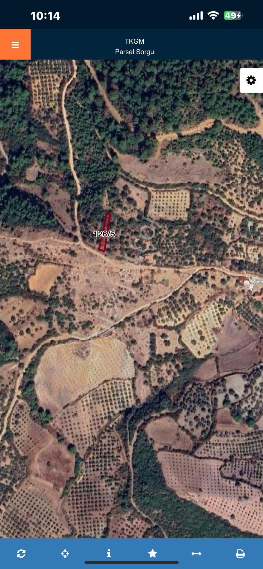 Manisa Soma Pirahmette Tek Tapu Satılık Zeytinlik - Görsel 6