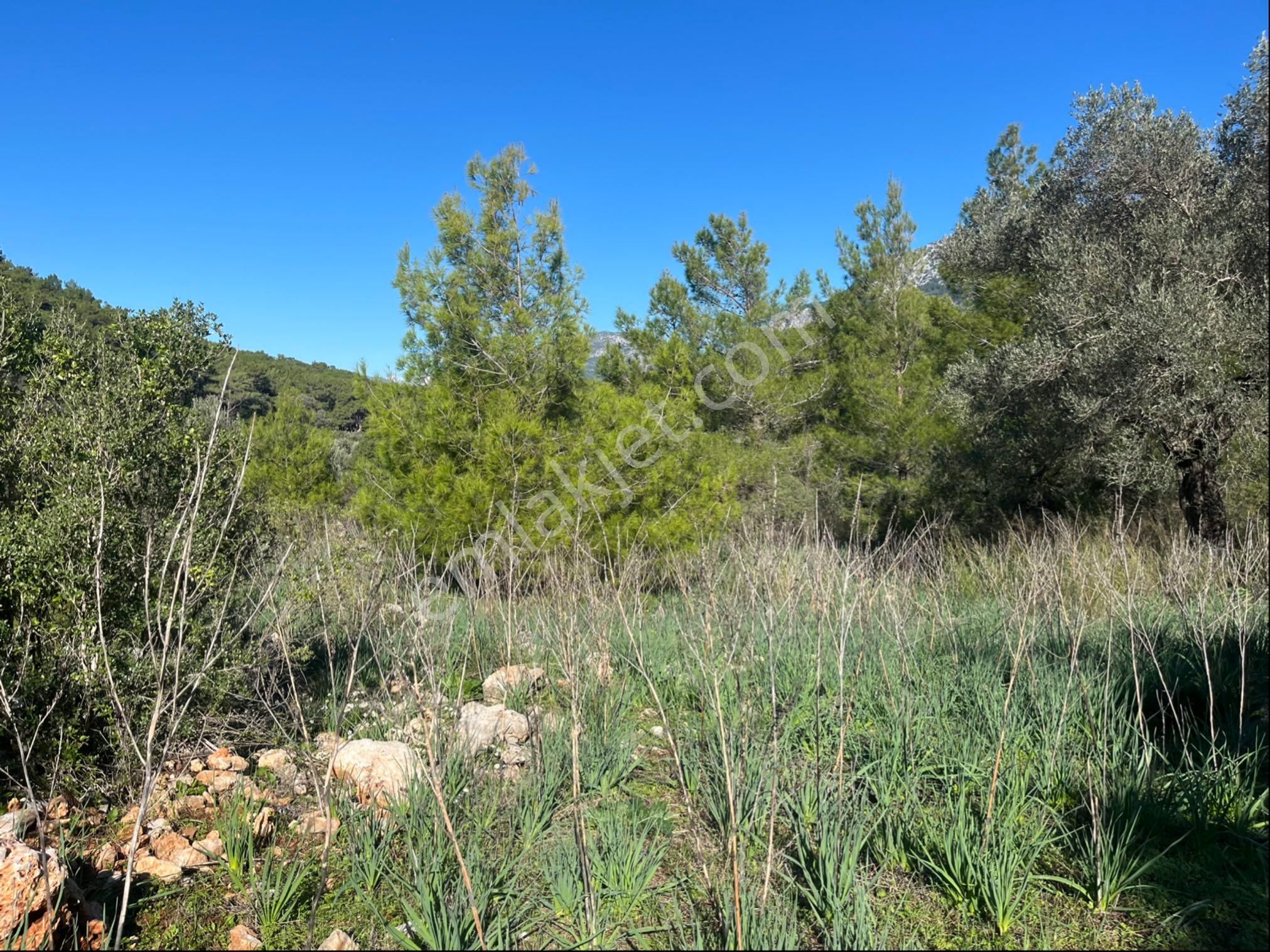 Karaöz’de Satılık 2300 Mt2 Muhteşem Parsel - Görsel 4