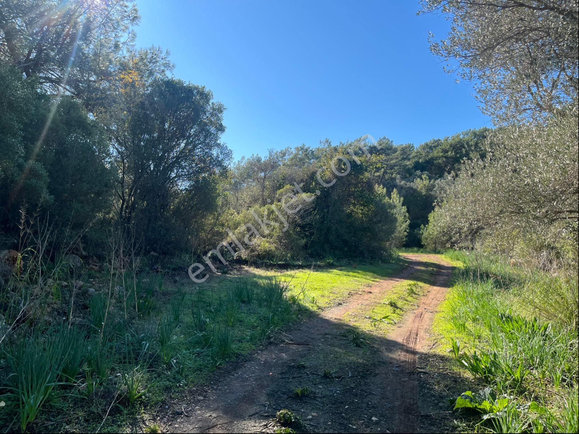 Karaöz’de Satılık 2300 Mt2 Muhteşem Parsel - Görsel 2