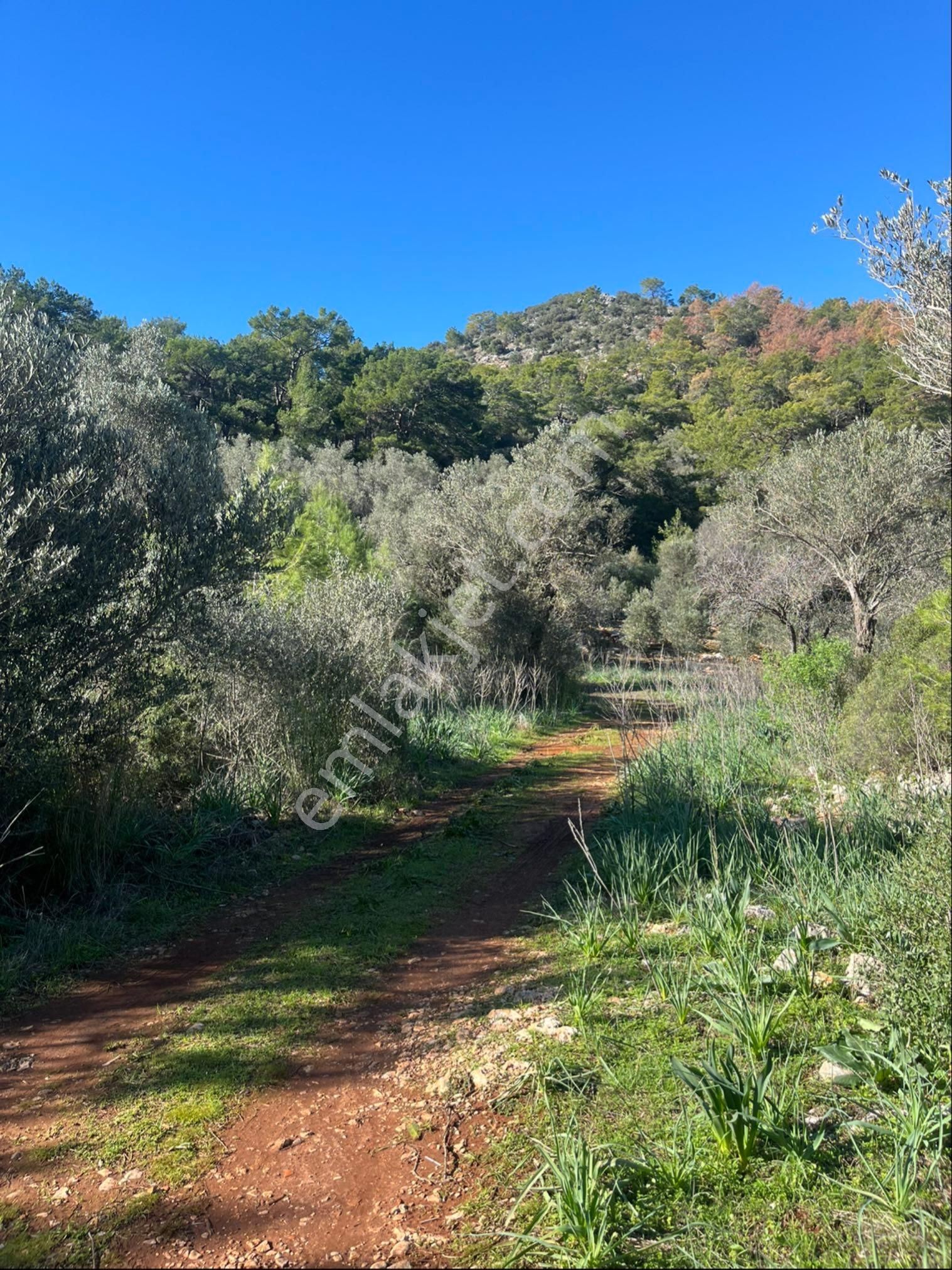 Karaöz’de Satılık 2300 Mt2 Muhteşem Parsel - Görsel 18