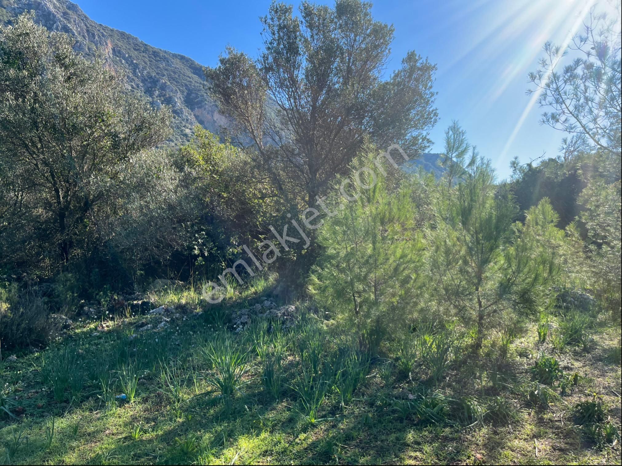 Karaöz’de Satılık 2300 Mt2 Muhteşem Parsel - Görsel 13