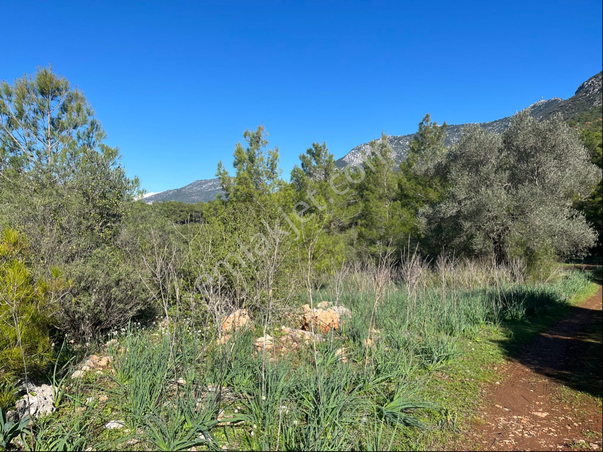 Karaöz’de Satılık 2300 Mt2 Muhteşem Parsel - Görsel 7