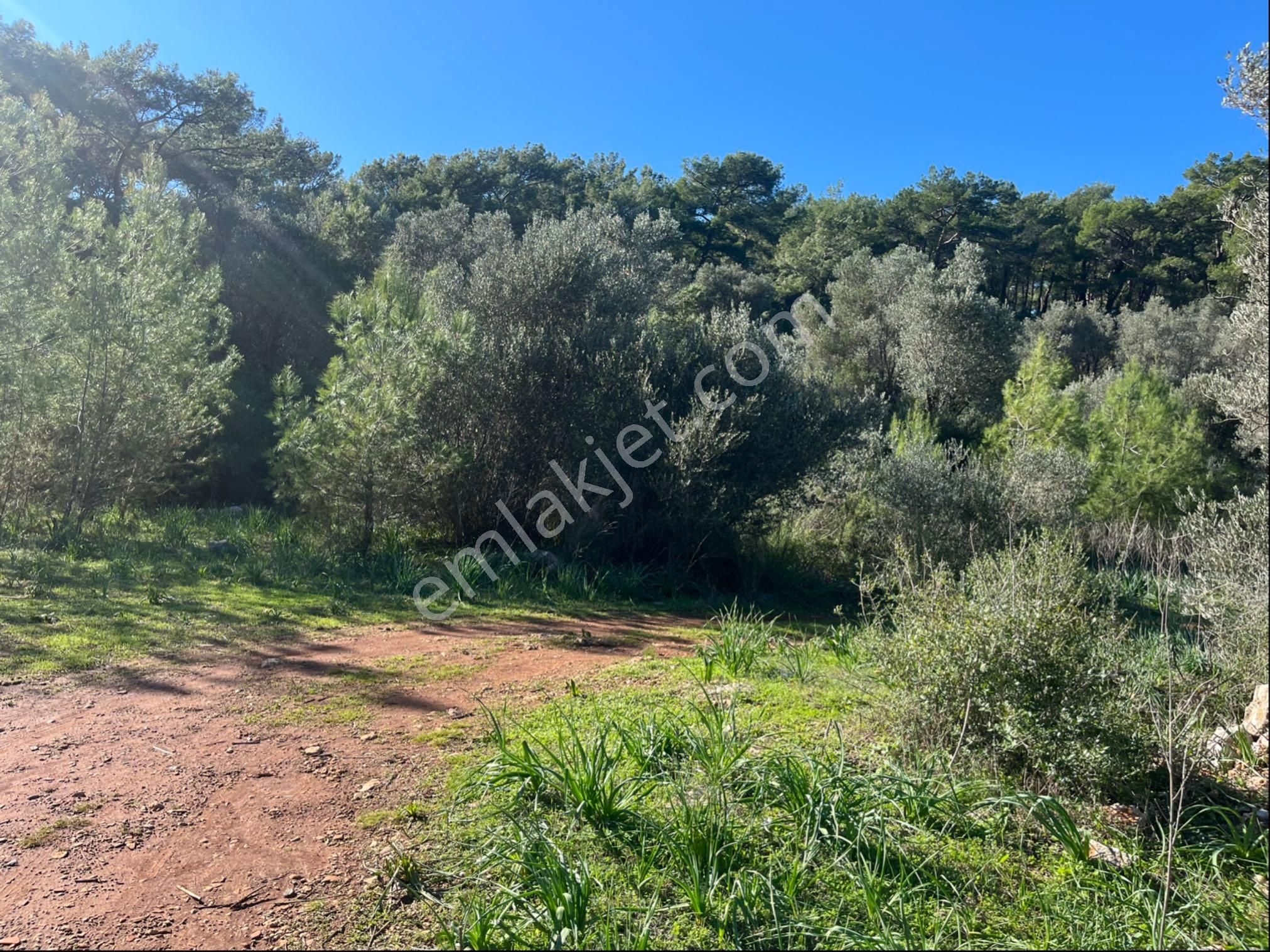 Karaöz’de Satılık 2300 Mt2 Muhteşem Parsel - Görsel 19