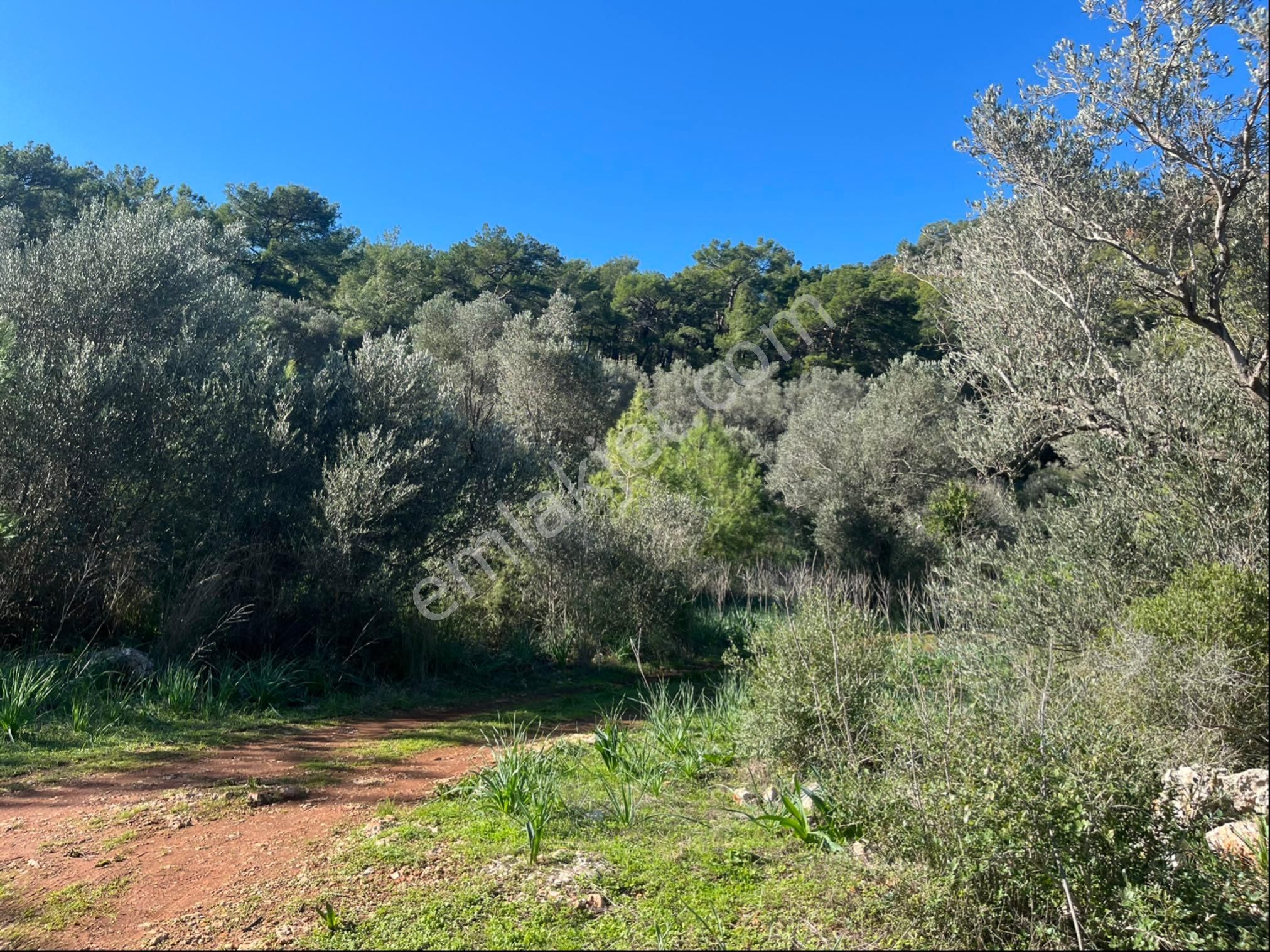 Karaöz’de Satılık 2300 Mt2 Muhteşem Parsel - Görsel 16