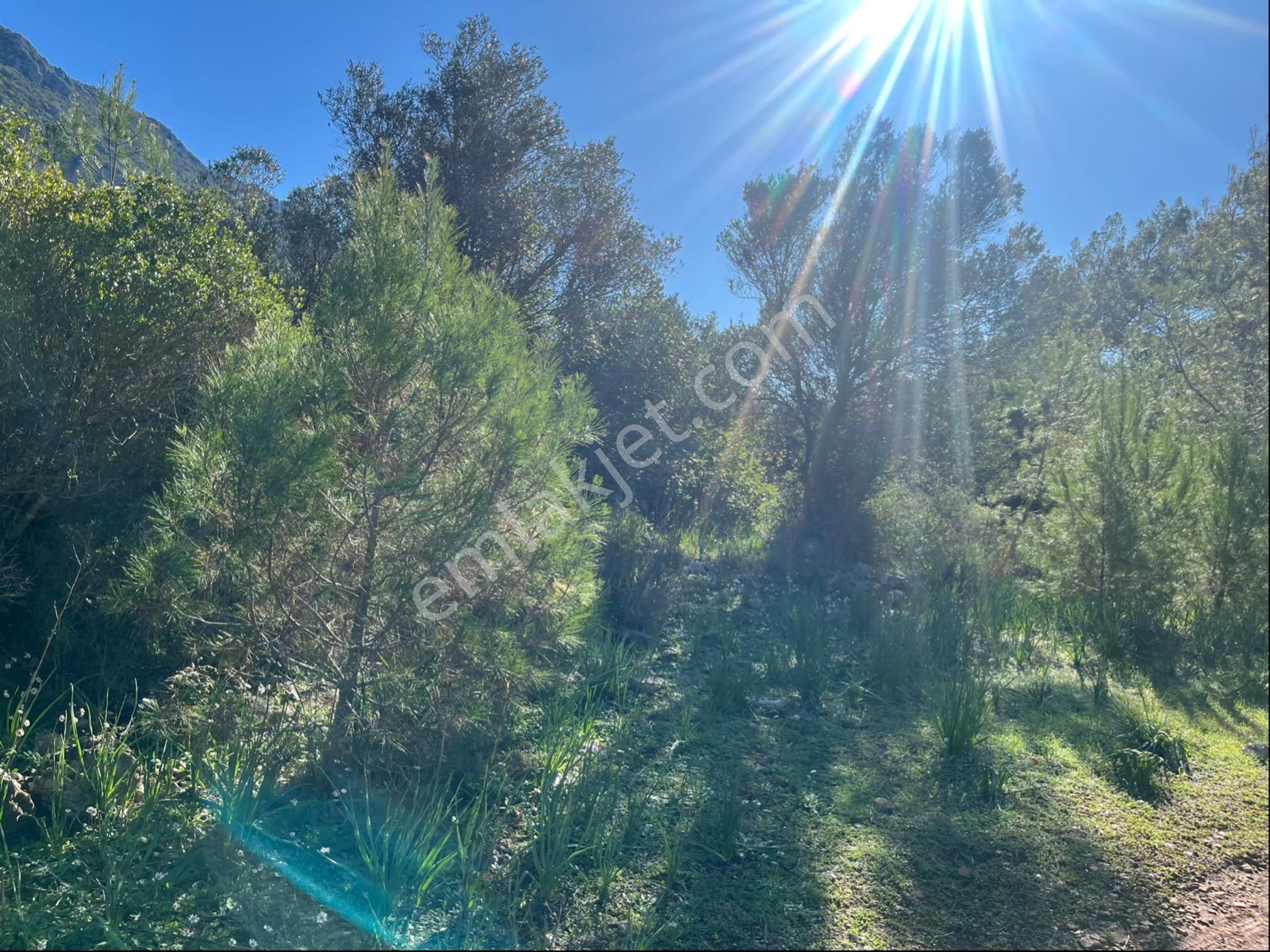 Karaöz’de Satılık 2300 Mt2 Muhteşem Parsel - Görsel 5