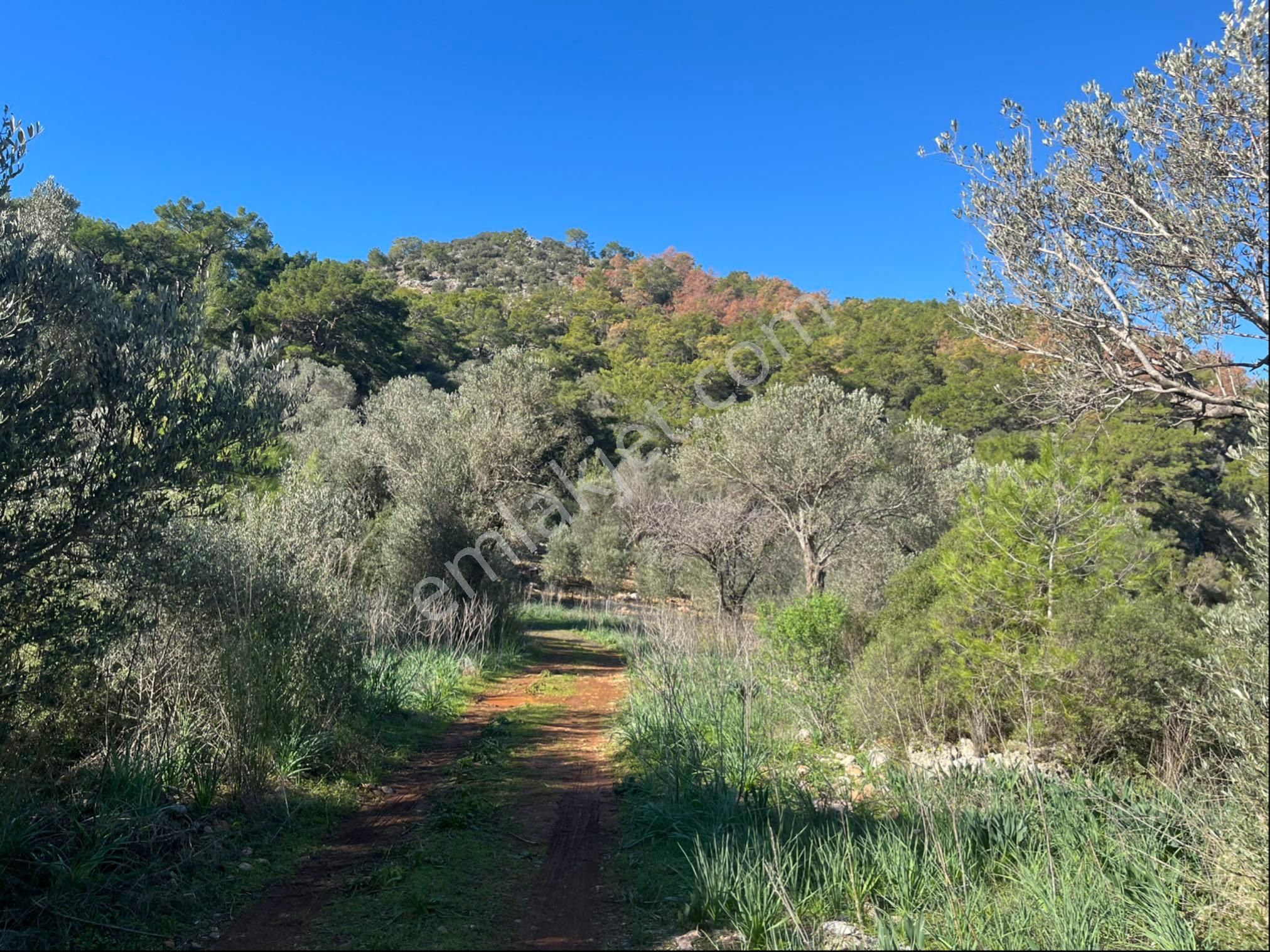 Karaöz’de Satılık 2300 Mt2 Muhteşem Parsel - Görsel 15