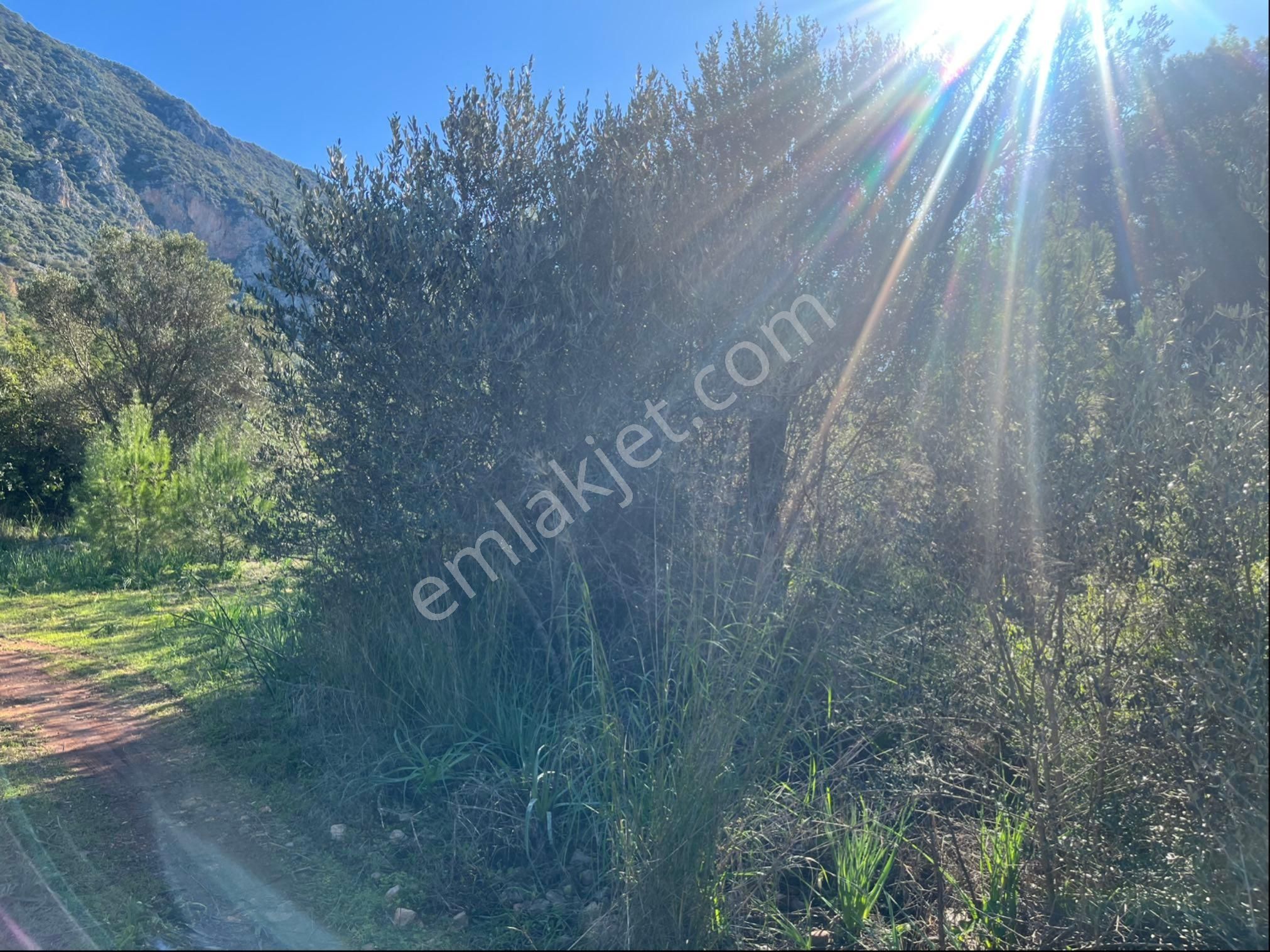 Karaöz’de Satılık 2300 Mt2 Muhteşem Parsel - Görsel 11